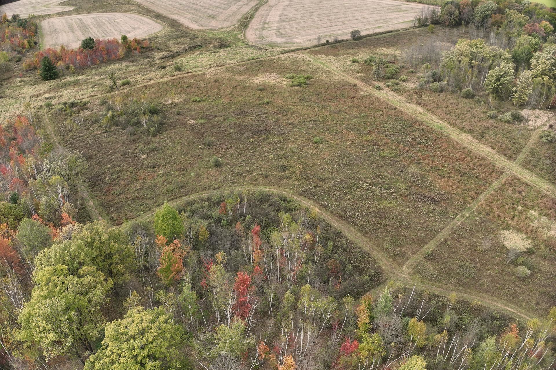 42.610 acres COUNTY ROAD O, Greenwood, Wisconsin 54437, ,Land,For Sale,42.610 acres COUNTY ROAD O,22603833