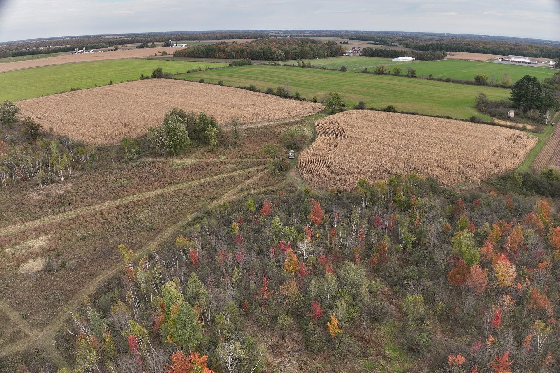 42.610 acres COUNTY ROAD O, Greenwood, Wisconsin 54437, ,Land,For Sale,42.610 acres COUNTY ROAD O,22603833