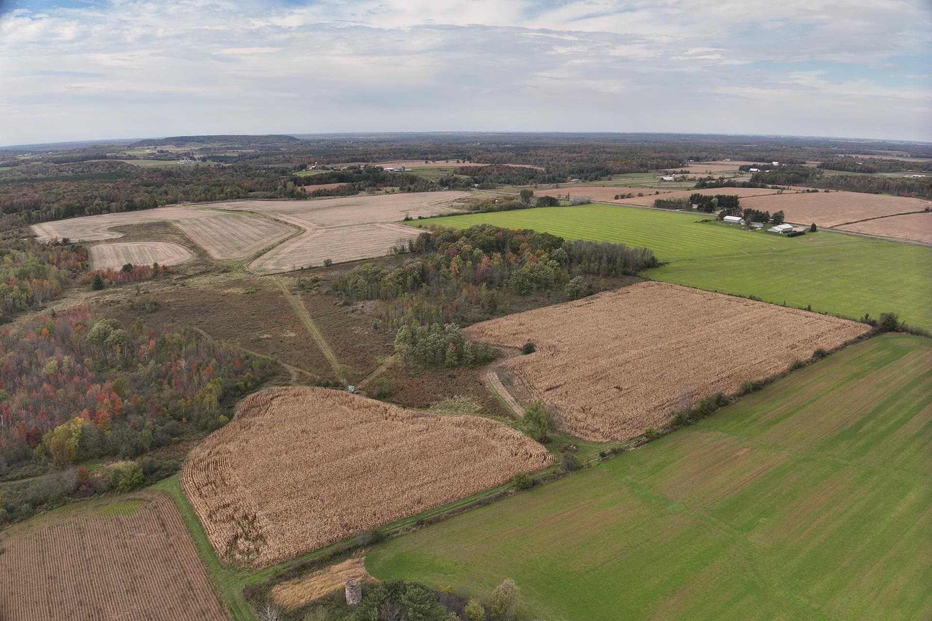 42.610 acres COUNTY ROAD O, Greenwood, Wisconsin 54437, ,Land,For Sale,42.610 acres COUNTY ROAD O,22603833