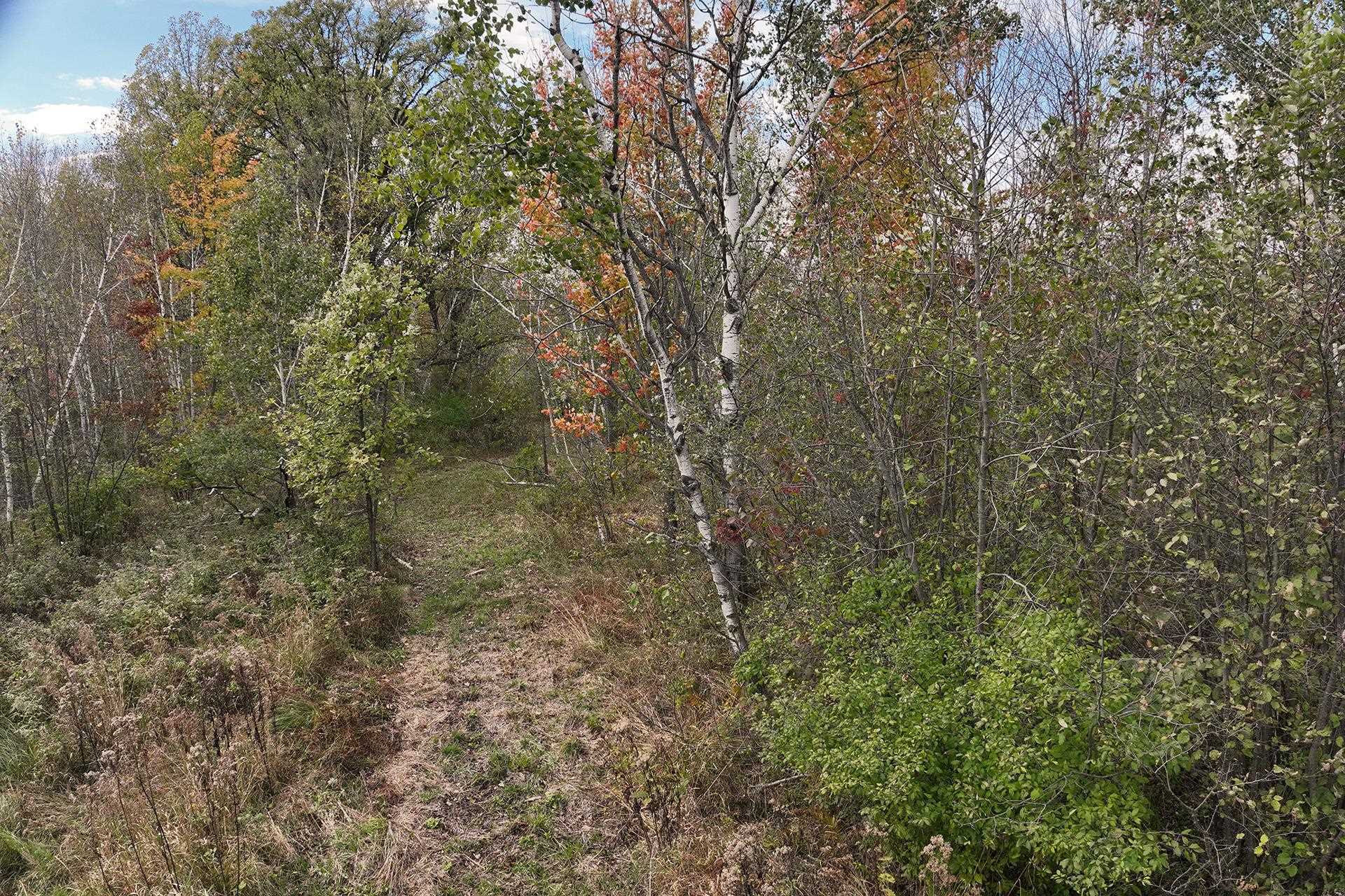 42.610 acres COUNTY ROAD O, Greenwood, Wisconsin 54437, ,Land,For Sale,42.610 acres COUNTY ROAD O,22603833