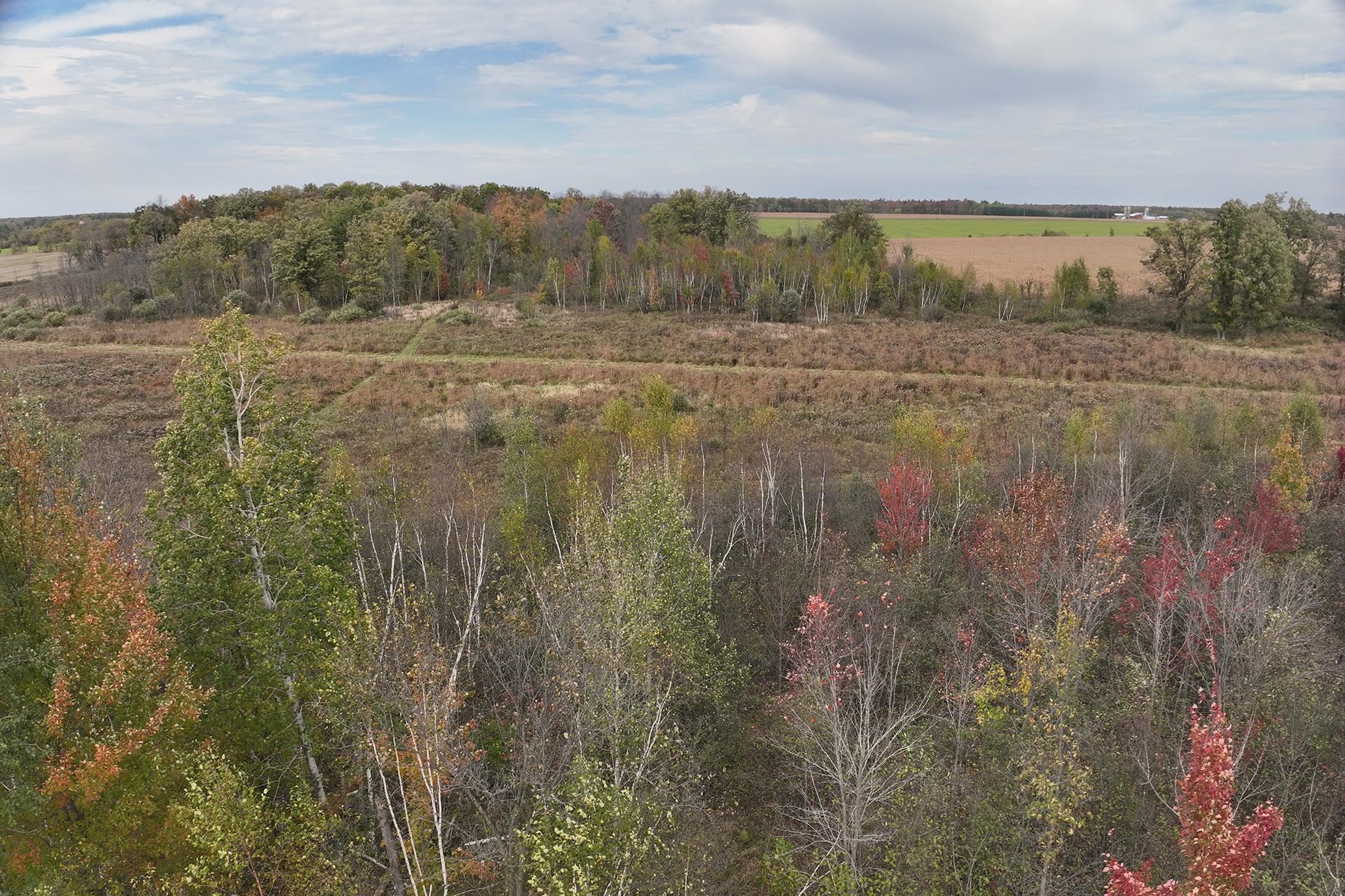 42.610 acres COUNTY ROAD O, Greenwood, Wisconsin 54437, ,Land,For Sale,42.610 acres COUNTY ROAD O,22603833