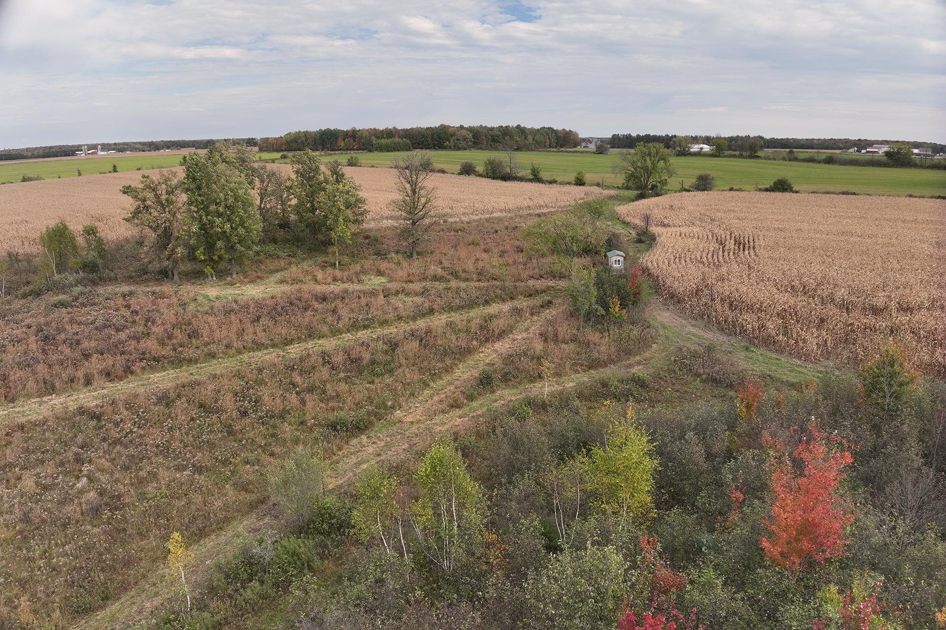 42.610 acres COUNTY ROAD O, Greenwood, Wisconsin 54437, ,Land,For Sale,42.610 acres COUNTY ROAD O,22603833