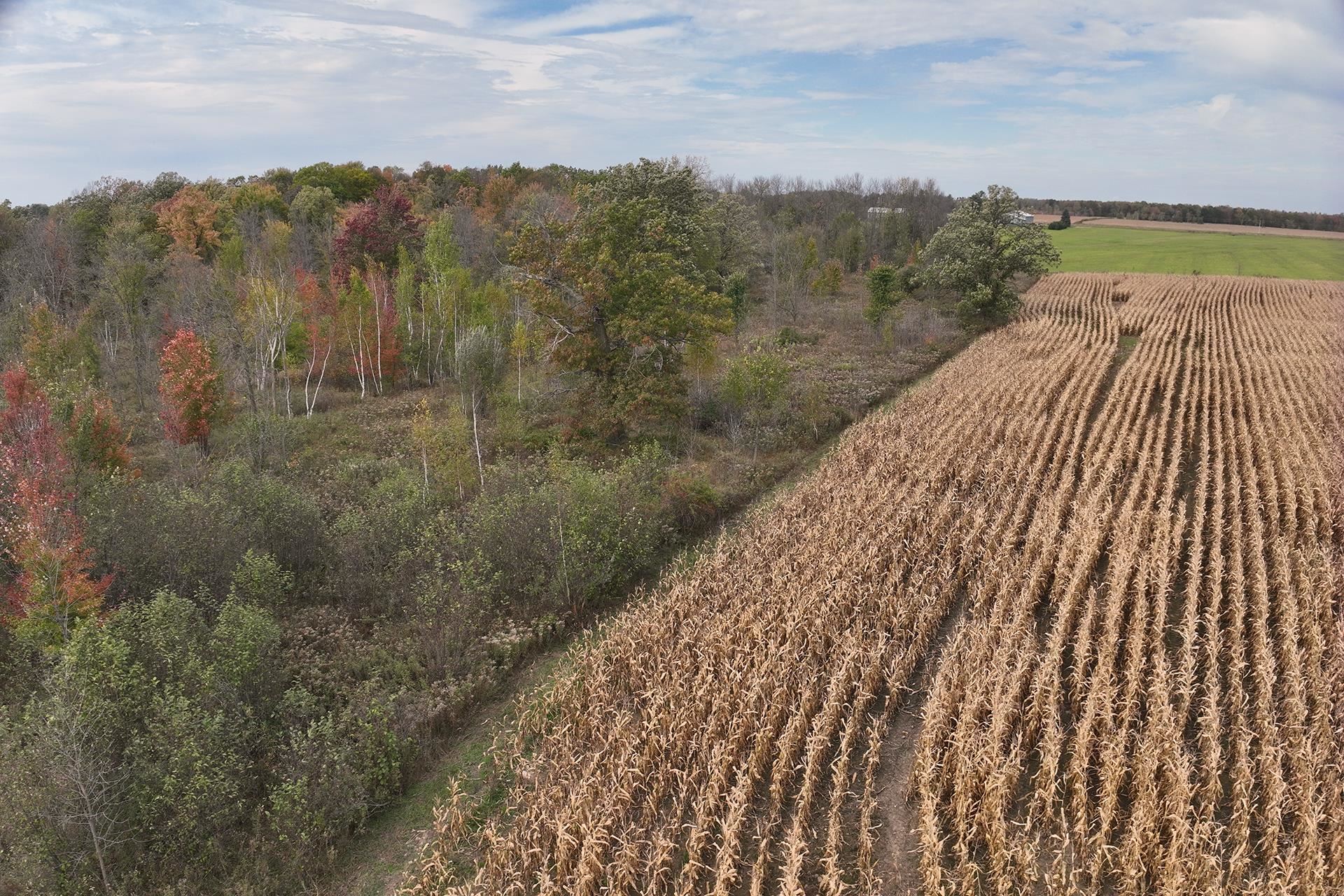 42.610 acres COUNTY ROAD O, Greenwood, Wisconsin 54437, ,Land,For Sale,42.610 acres COUNTY ROAD O,22603833