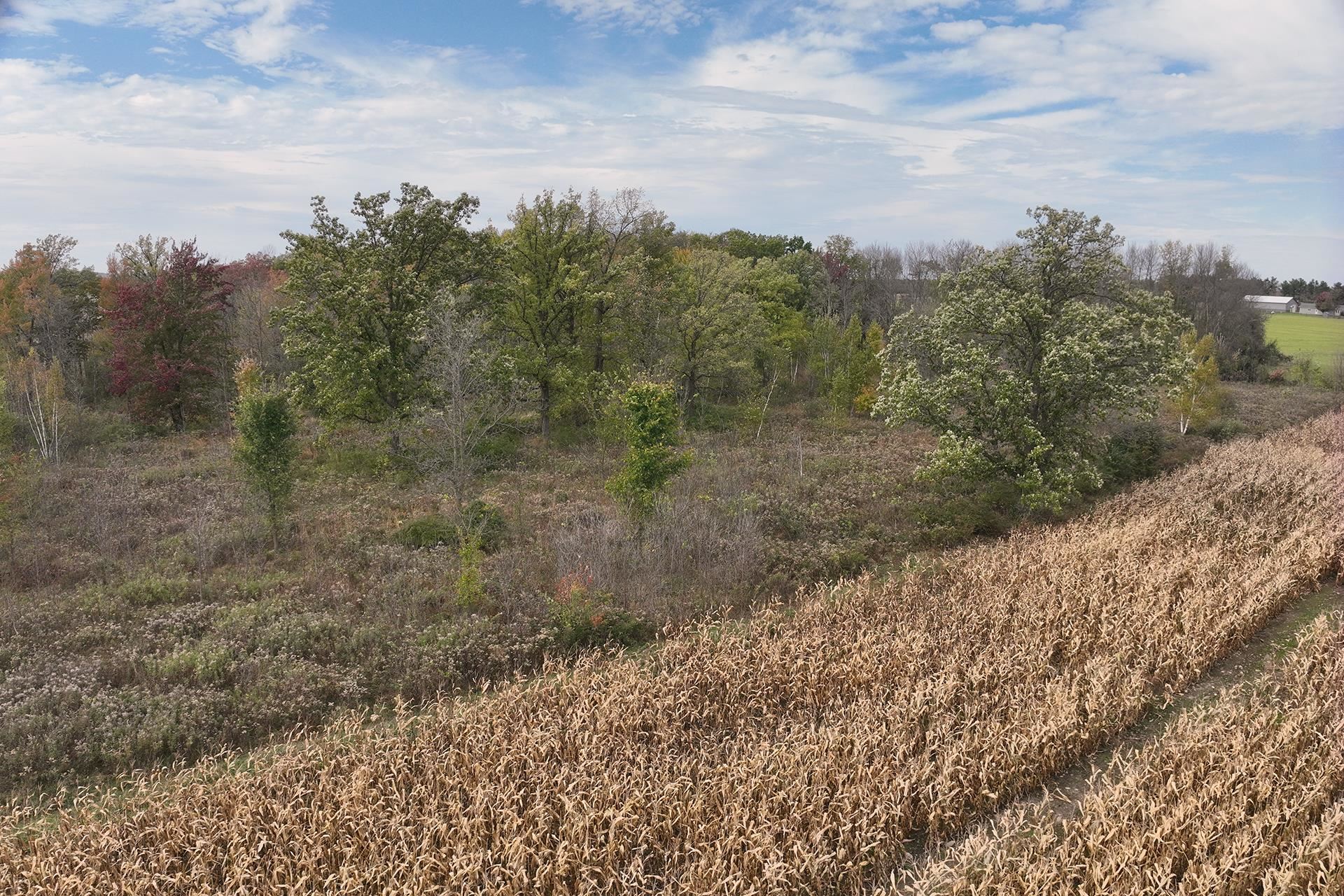 42.610 acres COUNTY ROAD O, Greenwood, Wisconsin 54437, ,Land,For Sale,42.610 acres COUNTY ROAD O,22603833