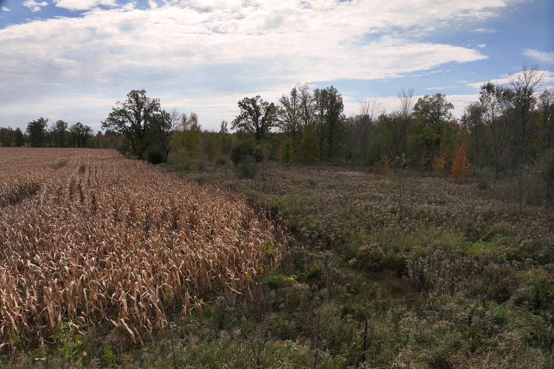 42.610 acres COUNTY ROAD O, Greenwood, Wisconsin 54437, ,Land,For Sale,42.610 acres COUNTY ROAD O,22603833