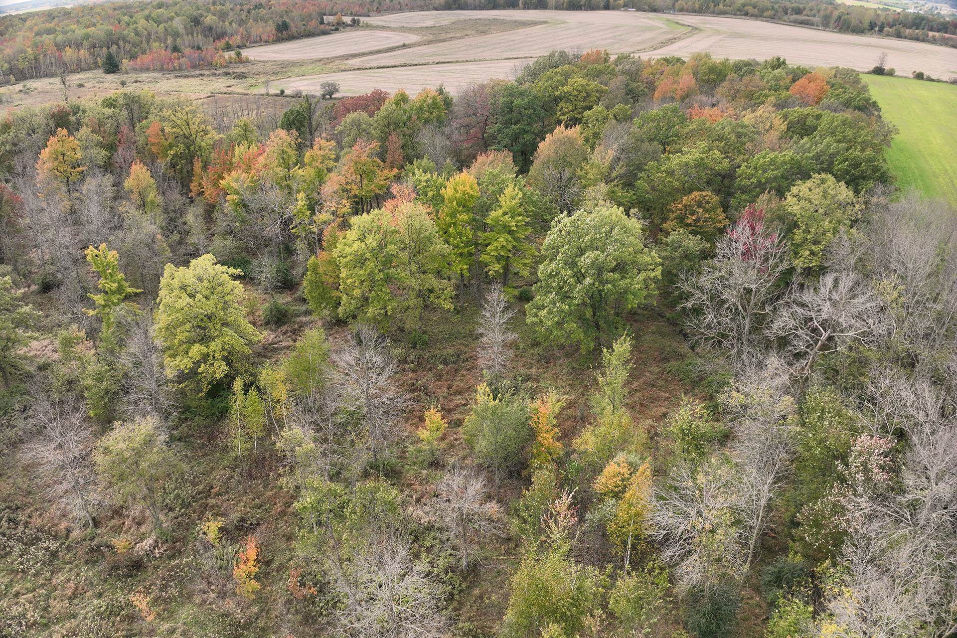 42.610 acres COUNTY ROAD O, Greenwood, Wisconsin 54437, ,Land,For Sale,42.610 acres COUNTY ROAD O,22603833