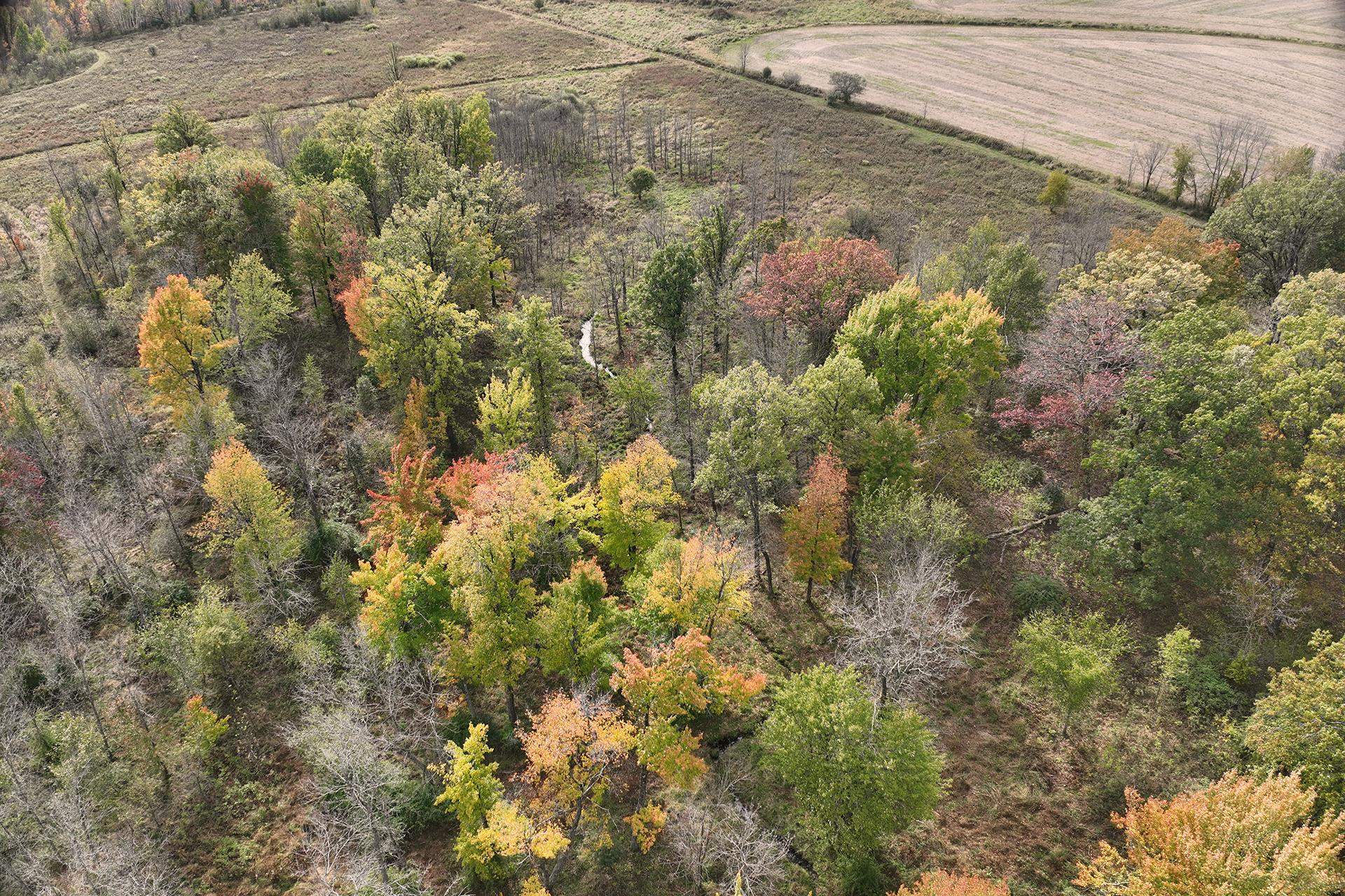 42.610 acres COUNTY ROAD O, Greenwood, Wisconsin 54437, ,Land,For Sale,42.610 acres COUNTY ROAD O,22603833