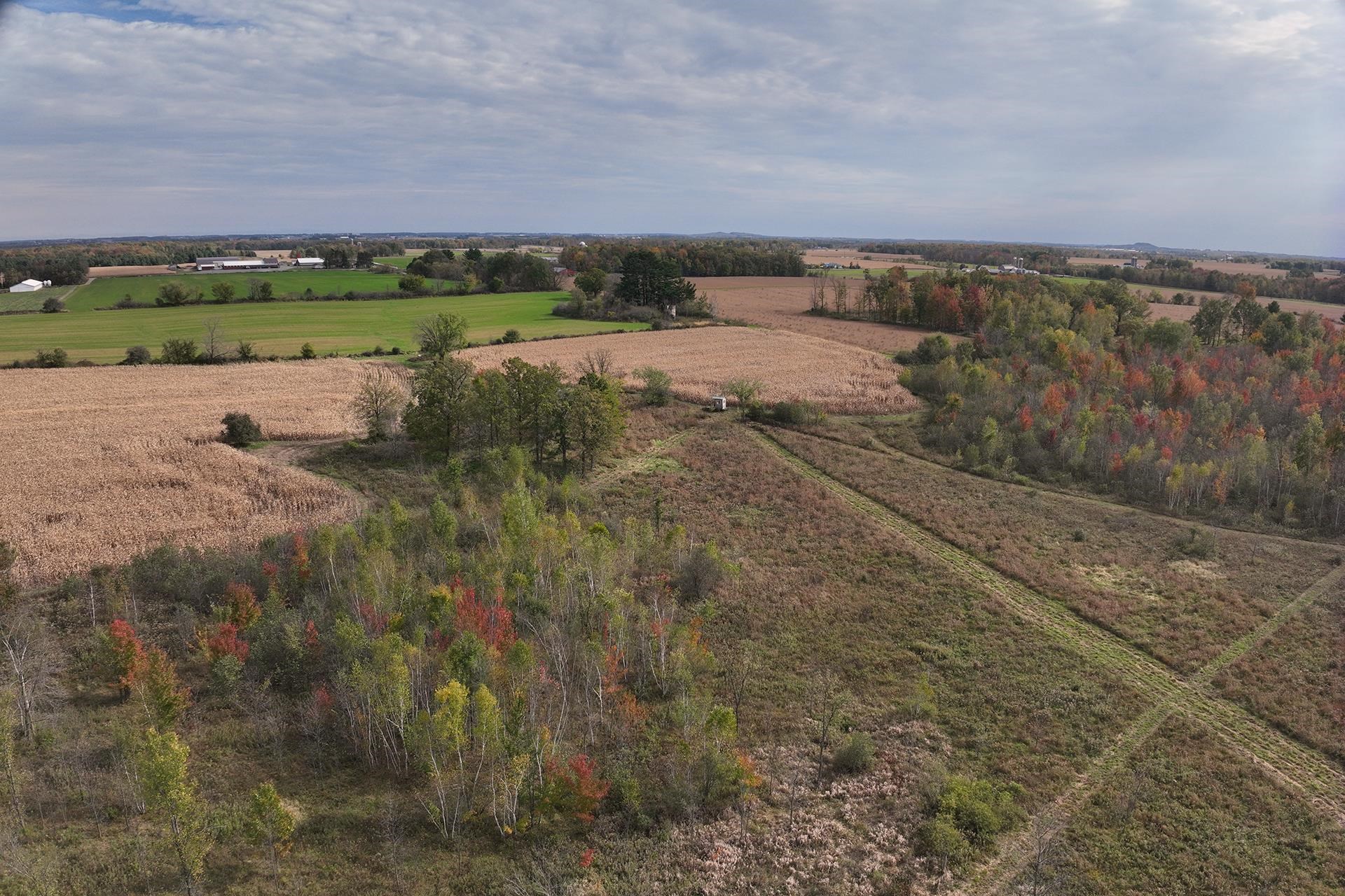 42.610 acres COUNTY ROAD O, Greenwood, Wisconsin 54437, ,Land,For Sale,42.610 acres COUNTY ROAD O,22603833