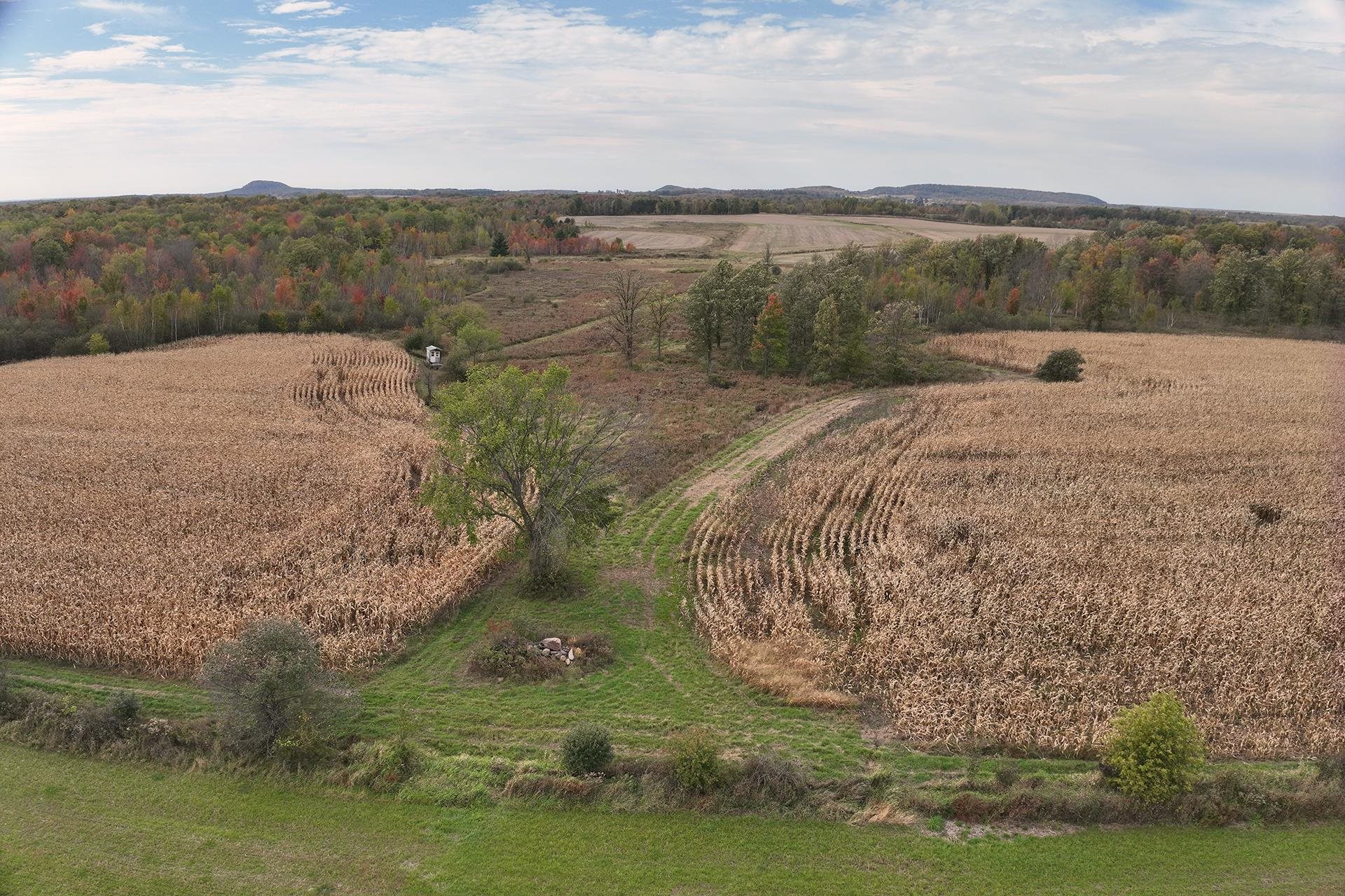 42.610 acres COUNTY ROAD O, Greenwood, Wisconsin 54437, ,Land,For Sale,42.610 acres COUNTY ROAD O,22603833