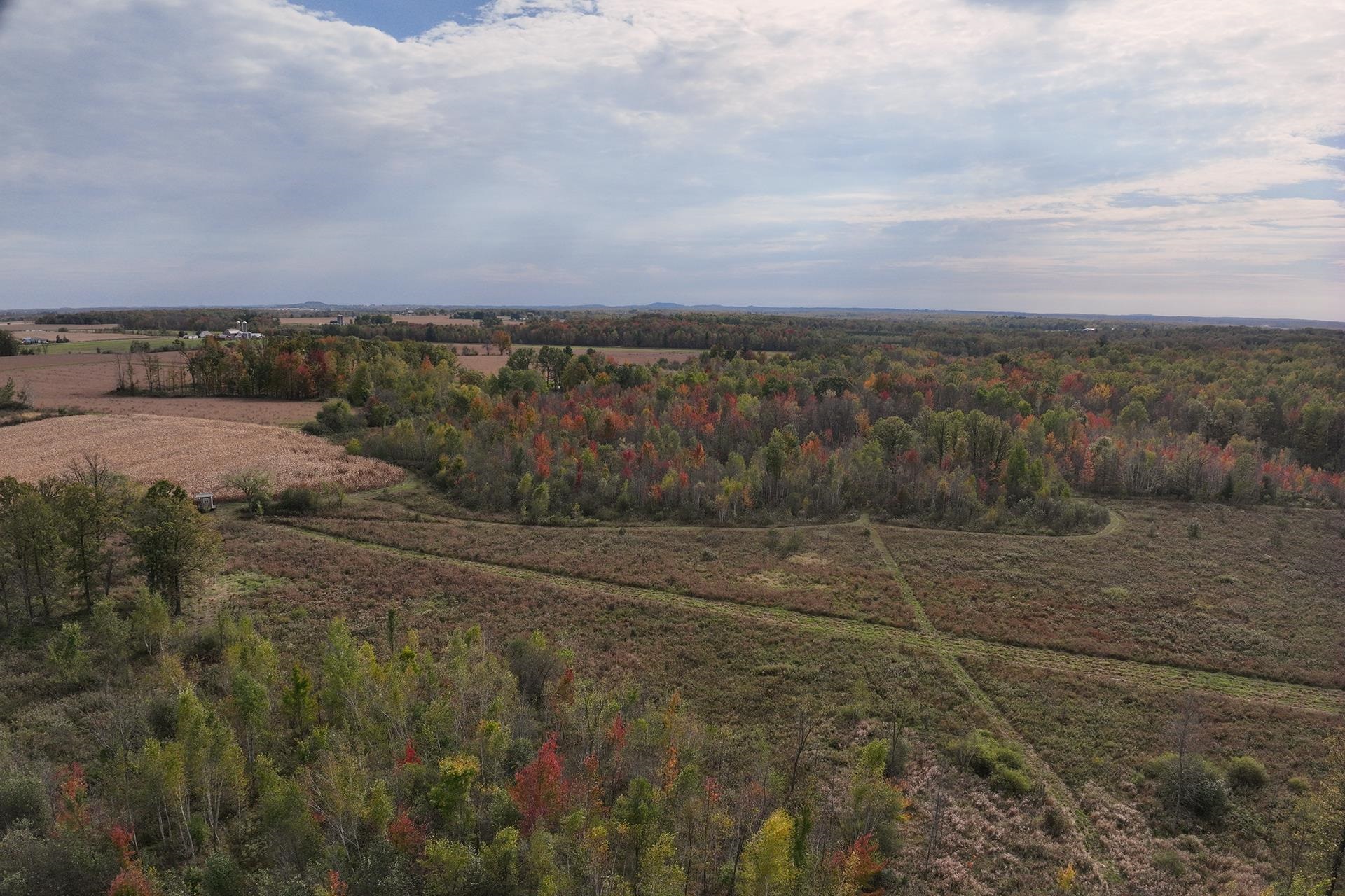 42.610 acres COUNTY ROAD O, Greenwood, Wisconsin 54437, ,Land,For Sale,42.610 acres COUNTY ROAD O,22603833