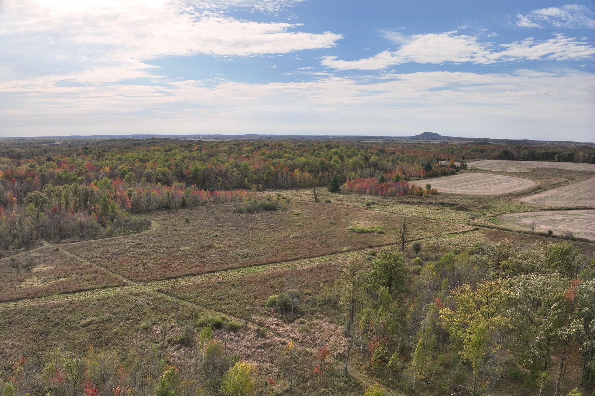 42.610 acres COUNTY ROAD O, Greenwood, Wisconsin 54437, ,Land,For Sale,42.610 acres COUNTY ROAD O,22603833