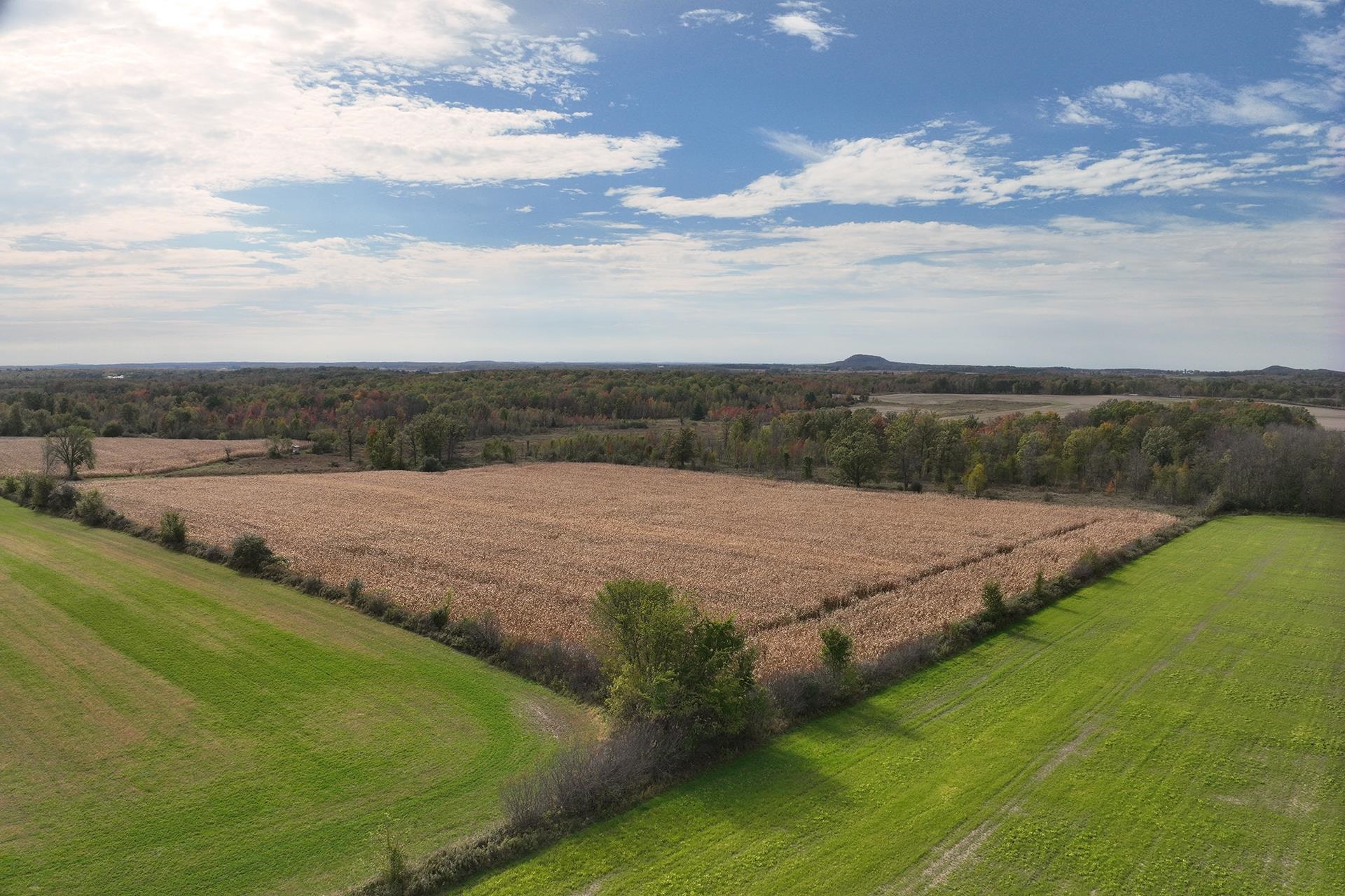 42.610 acres COUNTY ROAD O, Greenwood, Wisconsin 54437, ,Land,For Sale,42.610 acres COUNTY ROAD O,22603833