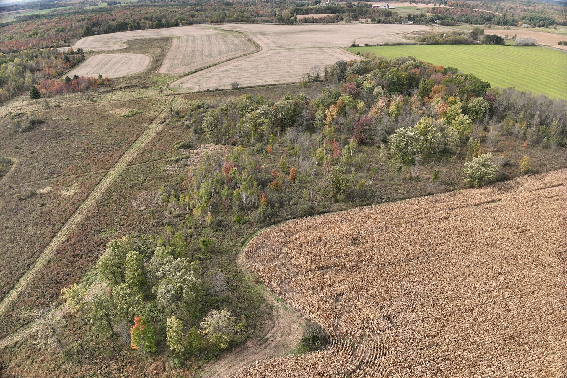 42.610 acres COUNTY ROAD O, Greenwood, Wisconsin 54437, ,Land,For Sale,42.610 acres COUNTY ROAD O,22603833