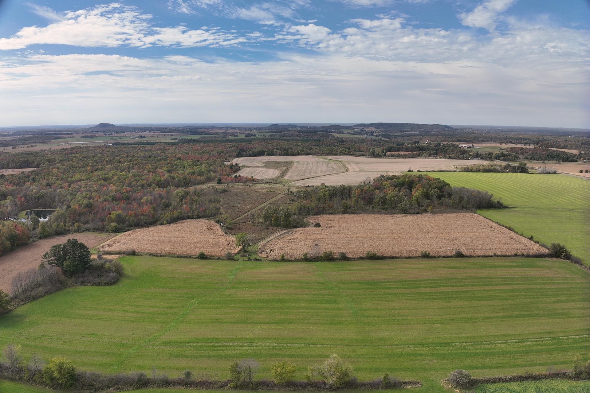 42.610 acres COUNTY ROAD O, Greenwood, Wisconsin 54437, ,Land,For Sale,42.610 acres COUNTY ROAD O,22603833