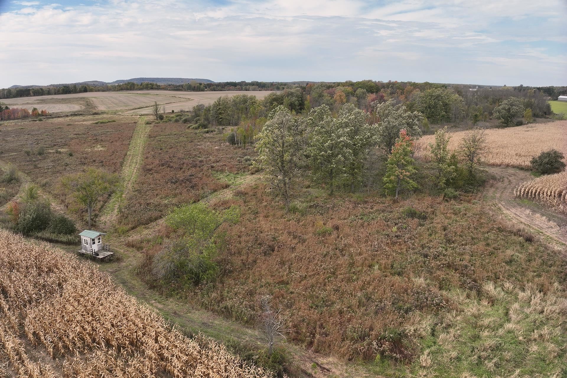42.610 acres COUNTY ROAD O, Greenwood, Wisconsin 54437, ,Land,For Sale,42.610 acres COUNTY ROAD O,22603833