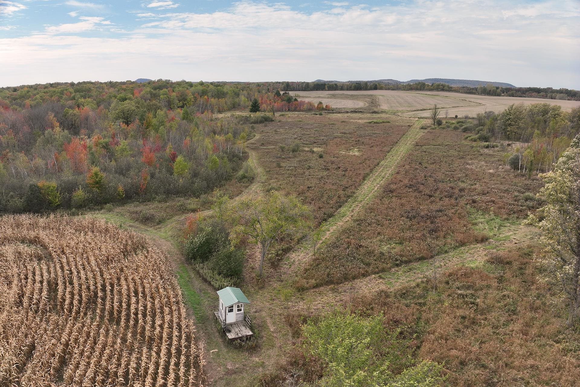 42.610 acres COUNTY ROAD O, Greenwood, Wisconsin 54437, ,Land,For Sale,42.610 acres COUNTY ROAD O,22603833