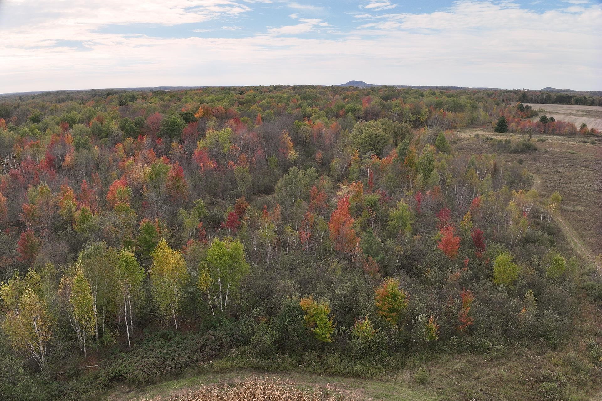 42.610 acres COUNTY ROAD O, Greenwood, Wisconsin 54437, ,Land,For Sale,42.610 acres COUNTY ROAD O,22603833