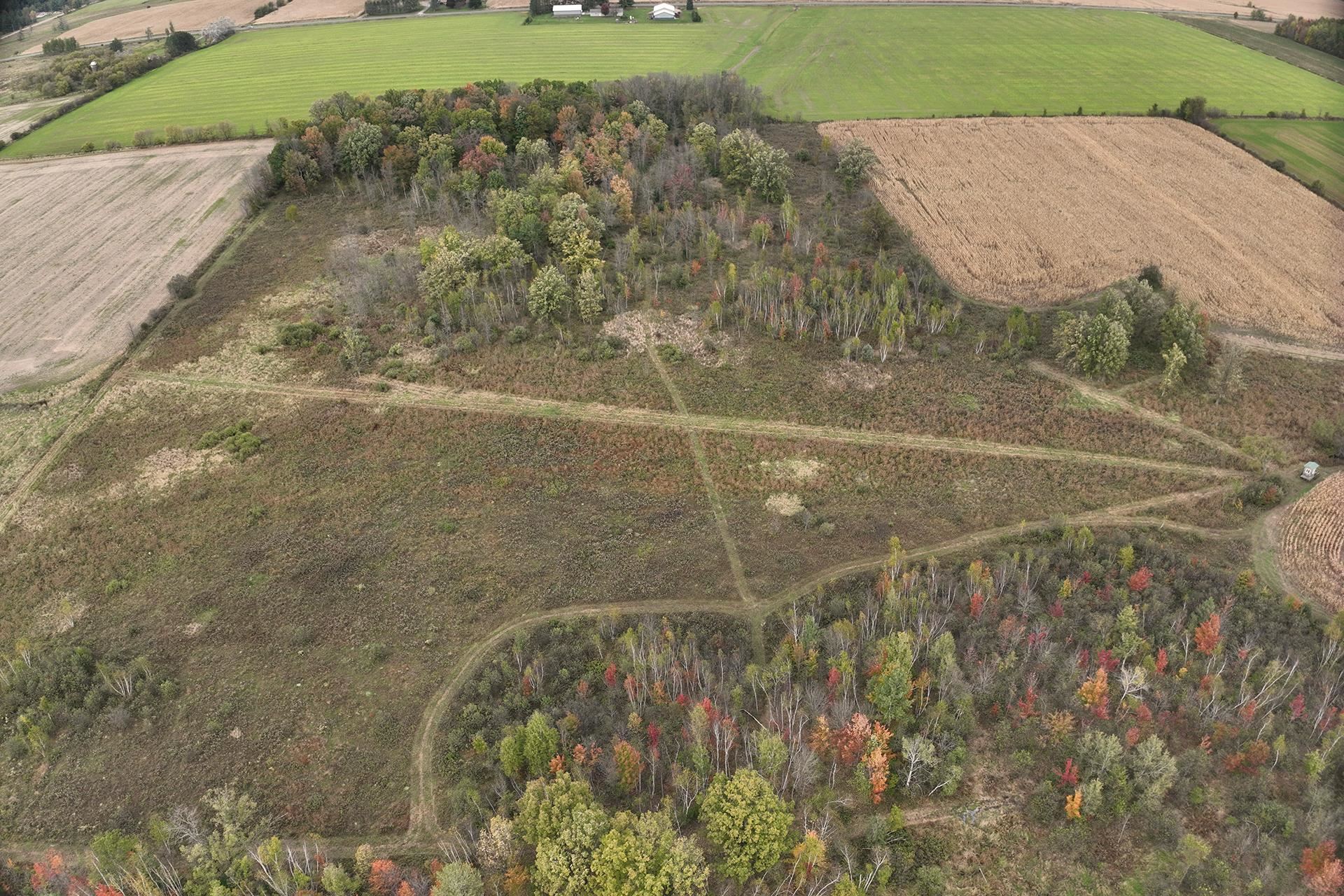 42.610 acres COUNTY ROAD O, Greenwood, Wisconsin 54437, ,Land,For Sale,42.610 acres COUNTY ROAD O,22603833