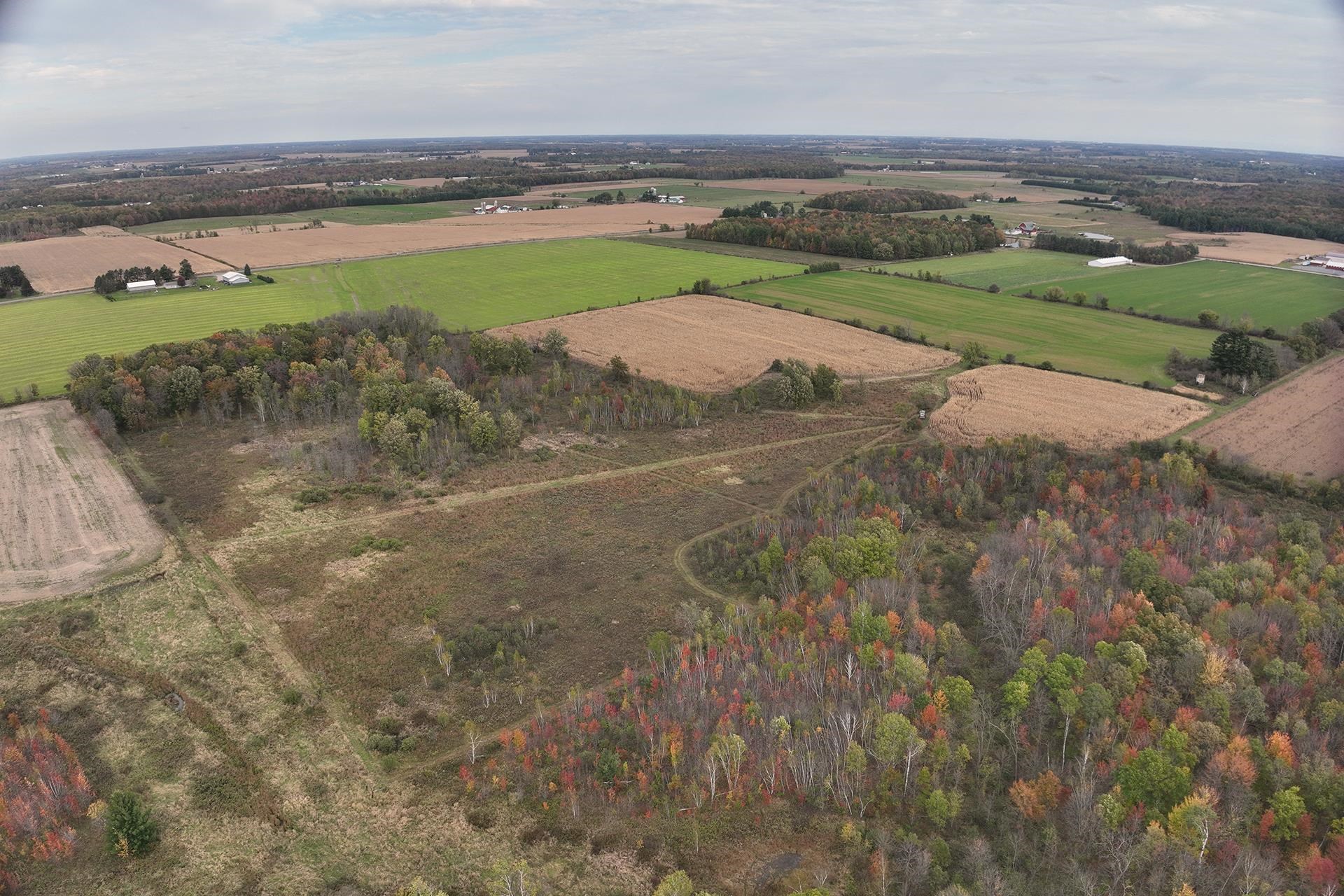 42.610 acres COUNTY ROAD O, Greenwood, Wisconsin 54437, ,Land,For Sale,42.610 acres COUNTY ROAD O,22603833