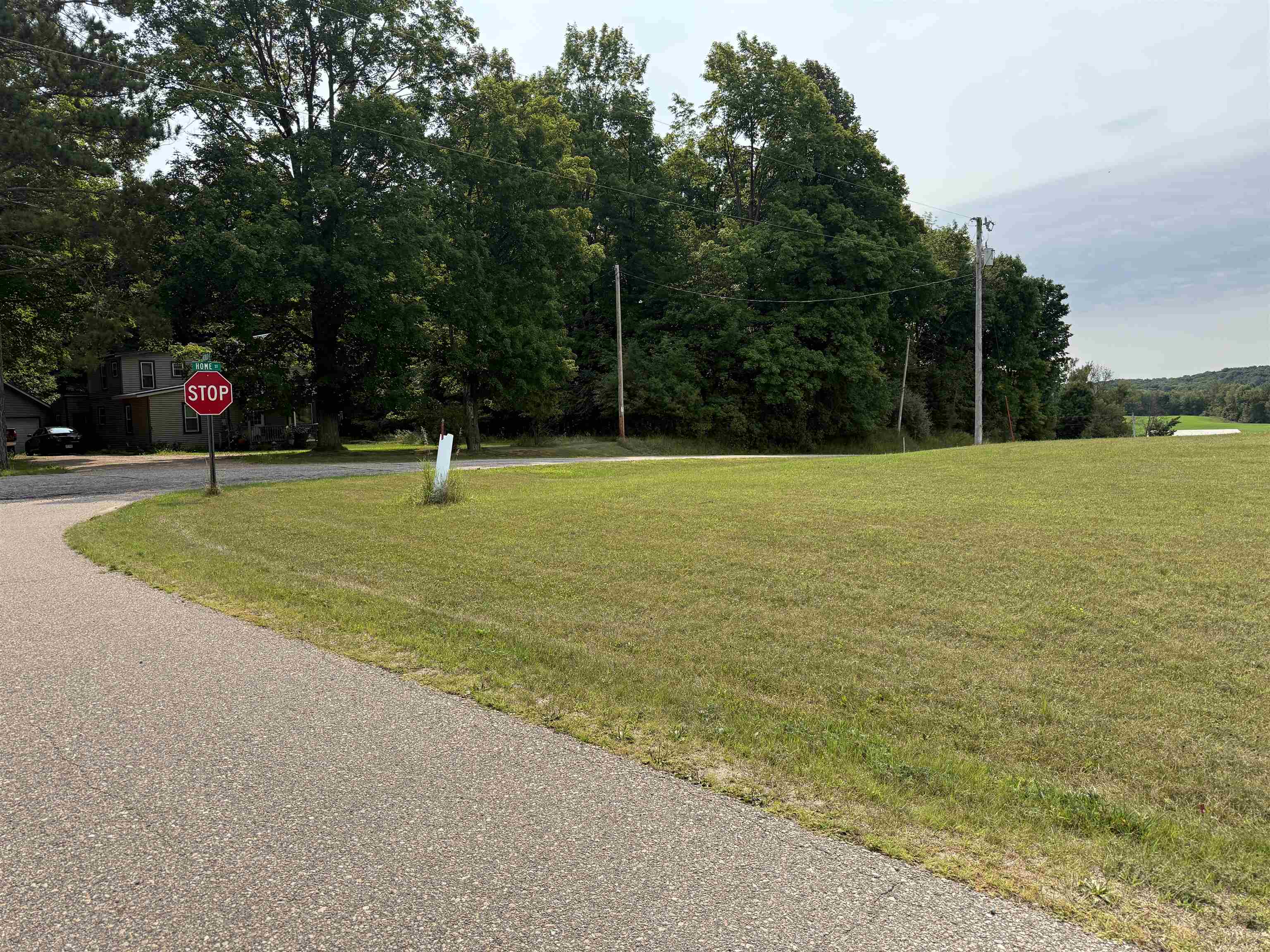 503 NICHOLAS AVENUE, Wittenberg, Wisconsin 54499, ,Land,For Sale,503 NICHOLAS AVENUE,22603860