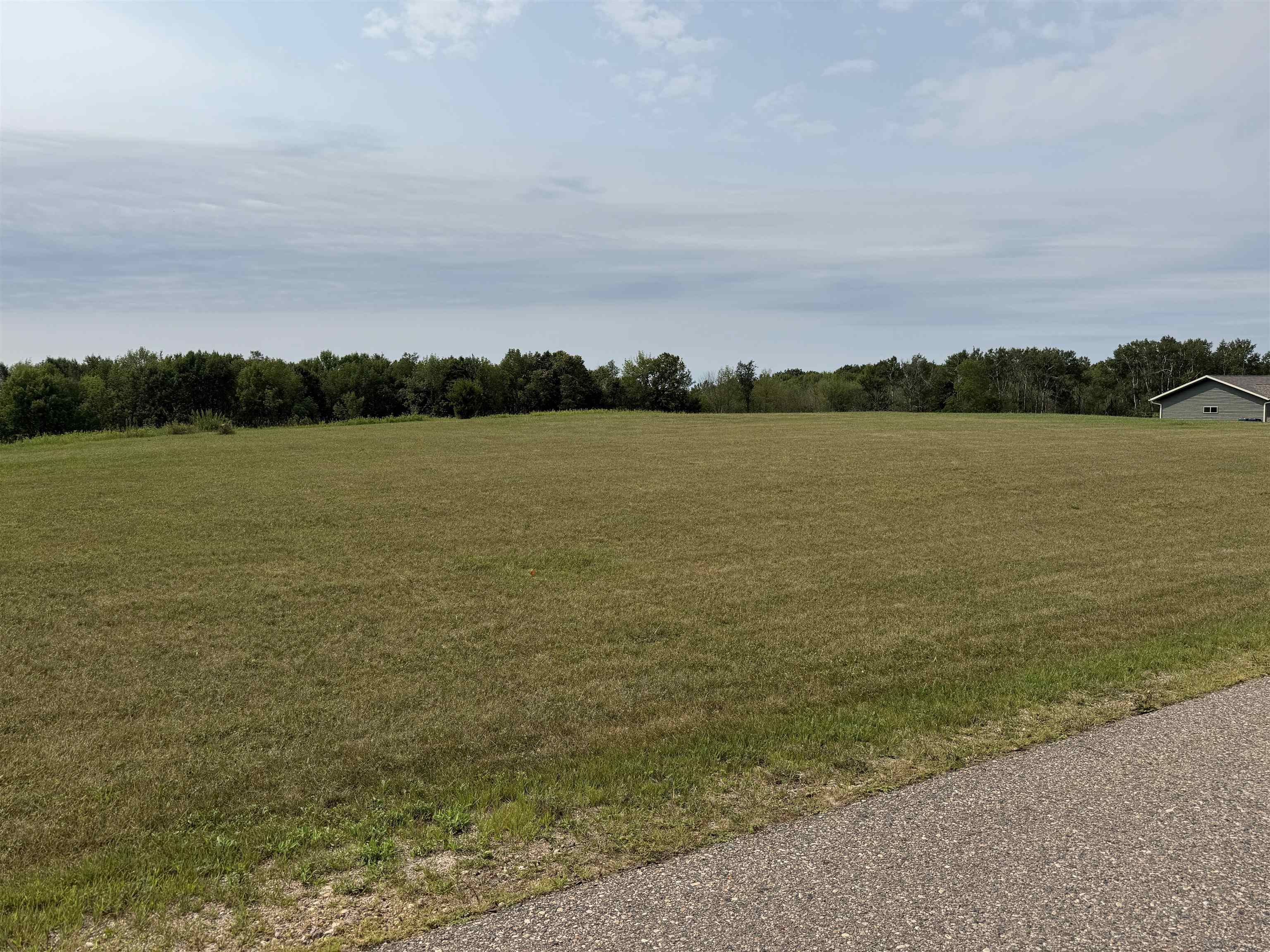 503 NICHOLAS AVENUE, Wittenberg, Wisconsin 54499, ,Land,For Sale,503 NICHOLAS AVENUE,22603860