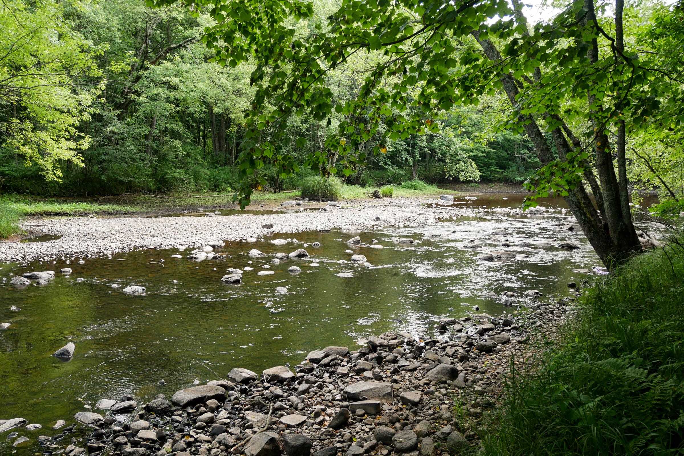 +/-2.39 Acres W RIVERSIDE DRIVE, Gilman, Wisconsin 54433, ,Land,For Sale,+/-2.39 Acres W RIVERSIDE DRIVE,22603866