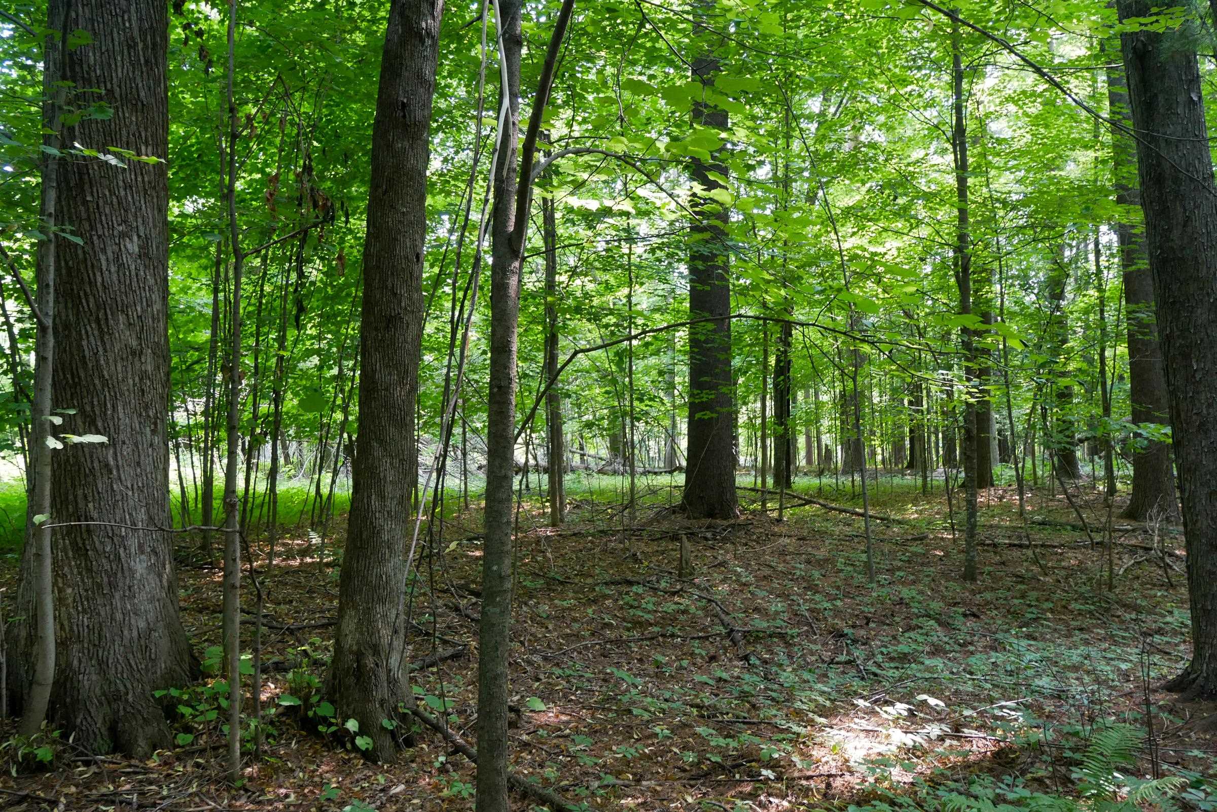 +/-2.39 Acres W RIVERSIDE DRIVE, Gilman, Wisconsin 54433, ,Land,For Sale,+/-2.39 Acres W RIVERSIDE DRIVE,22603866