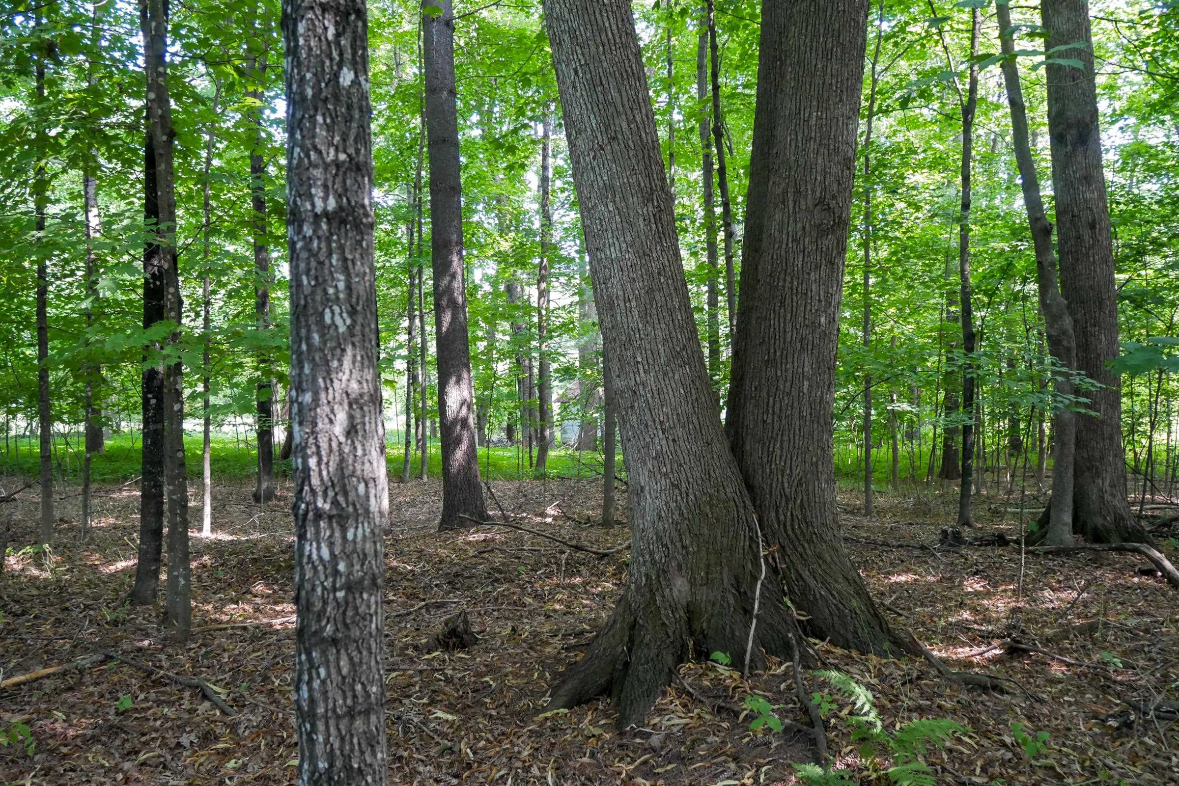 +/-2.39 Acres W RIVERSIDE DRIVE, Gilman, Wisconsin 54433, ,Land,For Sale,+/-2.39 Acres W RIVERSIDE DRIVE,22603866