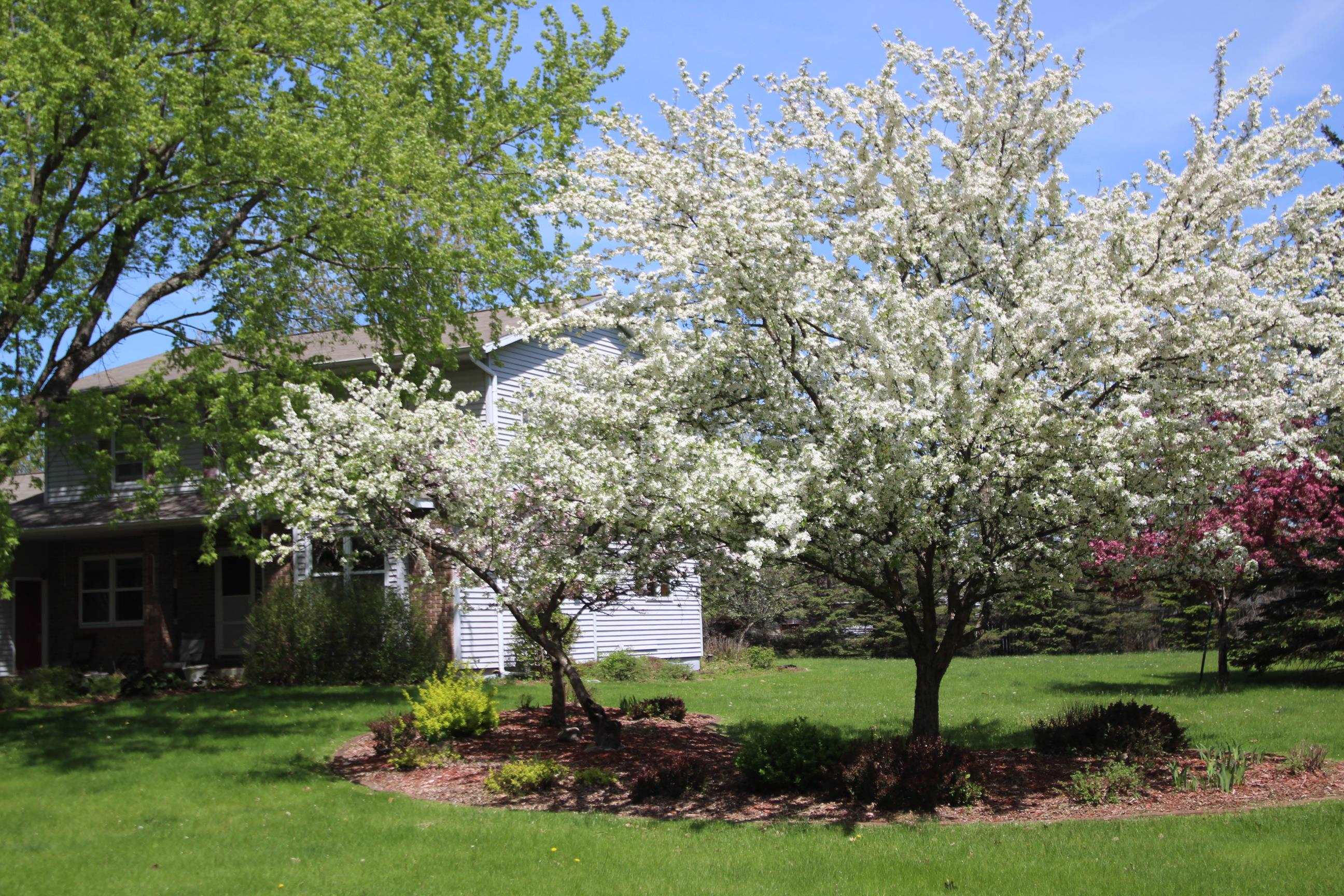 6306 HUBERT AVENUE, Weston, Wisconsin 54476-1616, 4 Bedrooms Bedrooms, ,2 BathroomsBathrooms,Residential,For Sale,6306 HUBERT AVENUE,22603871