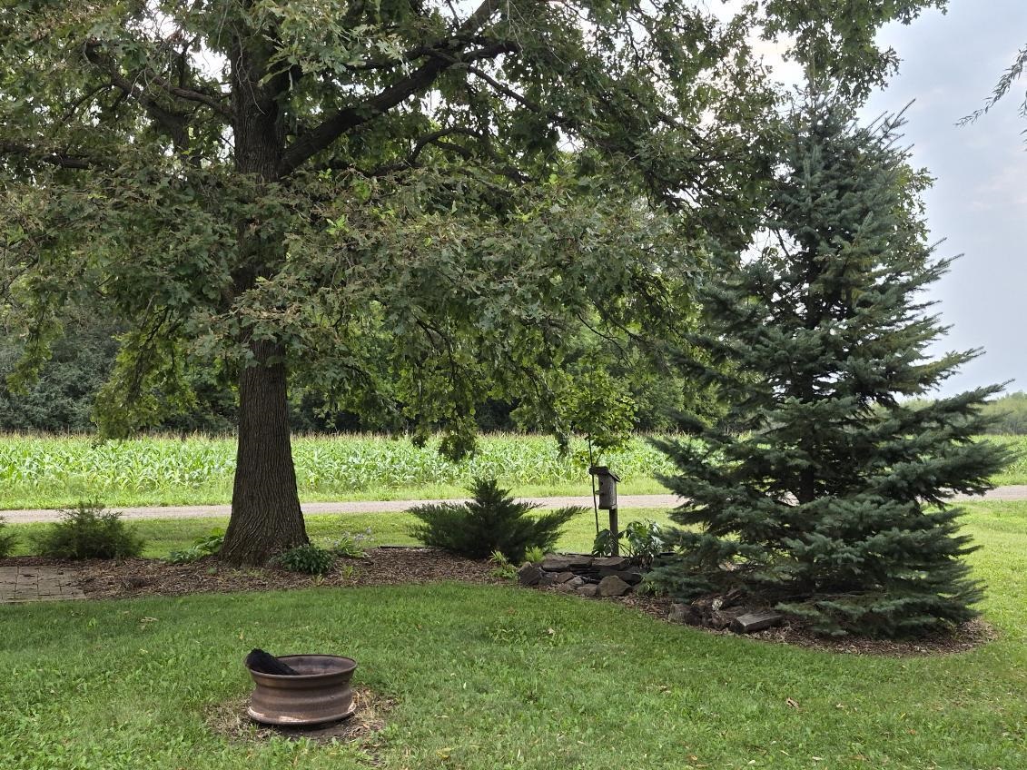 5271 W CENTER ROAD, Withee, Wisconsin 54498, 2 Bedrooms Bedrooms, ,1 BathroomBathrooms,Residential,For Sale,5271 W CENTER ROAD,22603877