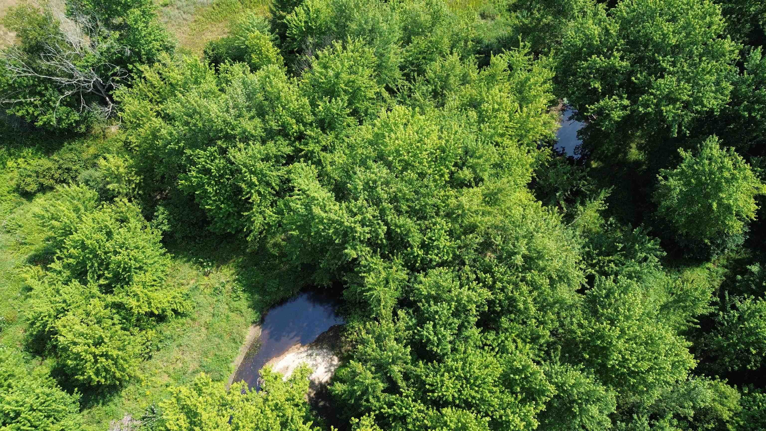 159504 COUNTY ROAD C, Mosinee, Wisconsin 54455, ,Land,For Sale,159504 COUNTY ROAD C,22603880
