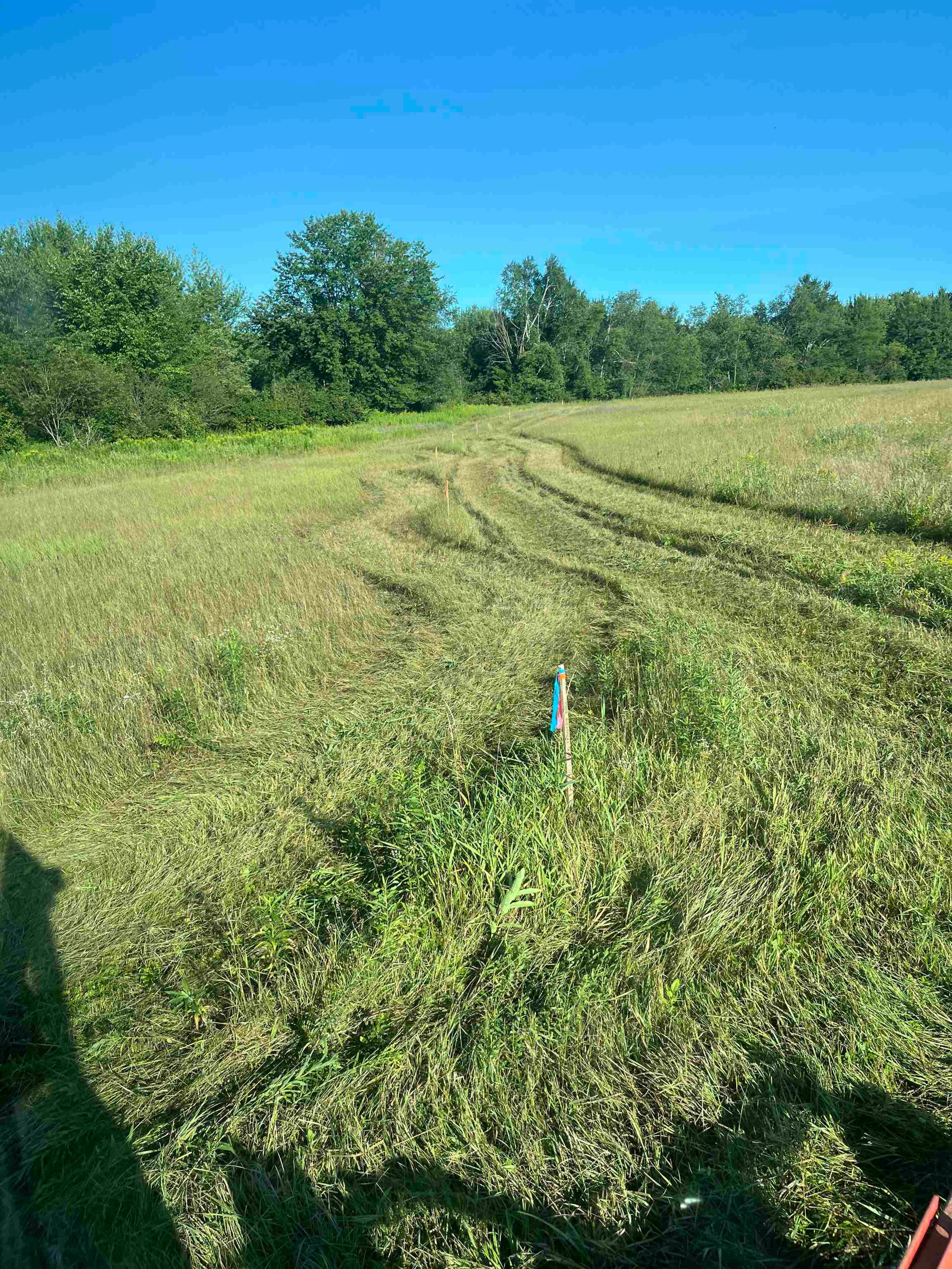 159504 COUNTY ROAD C, Mosinee, Wisconsin 54455, ,Land,For Sale,159504 COUNTY ROAD C,22603880