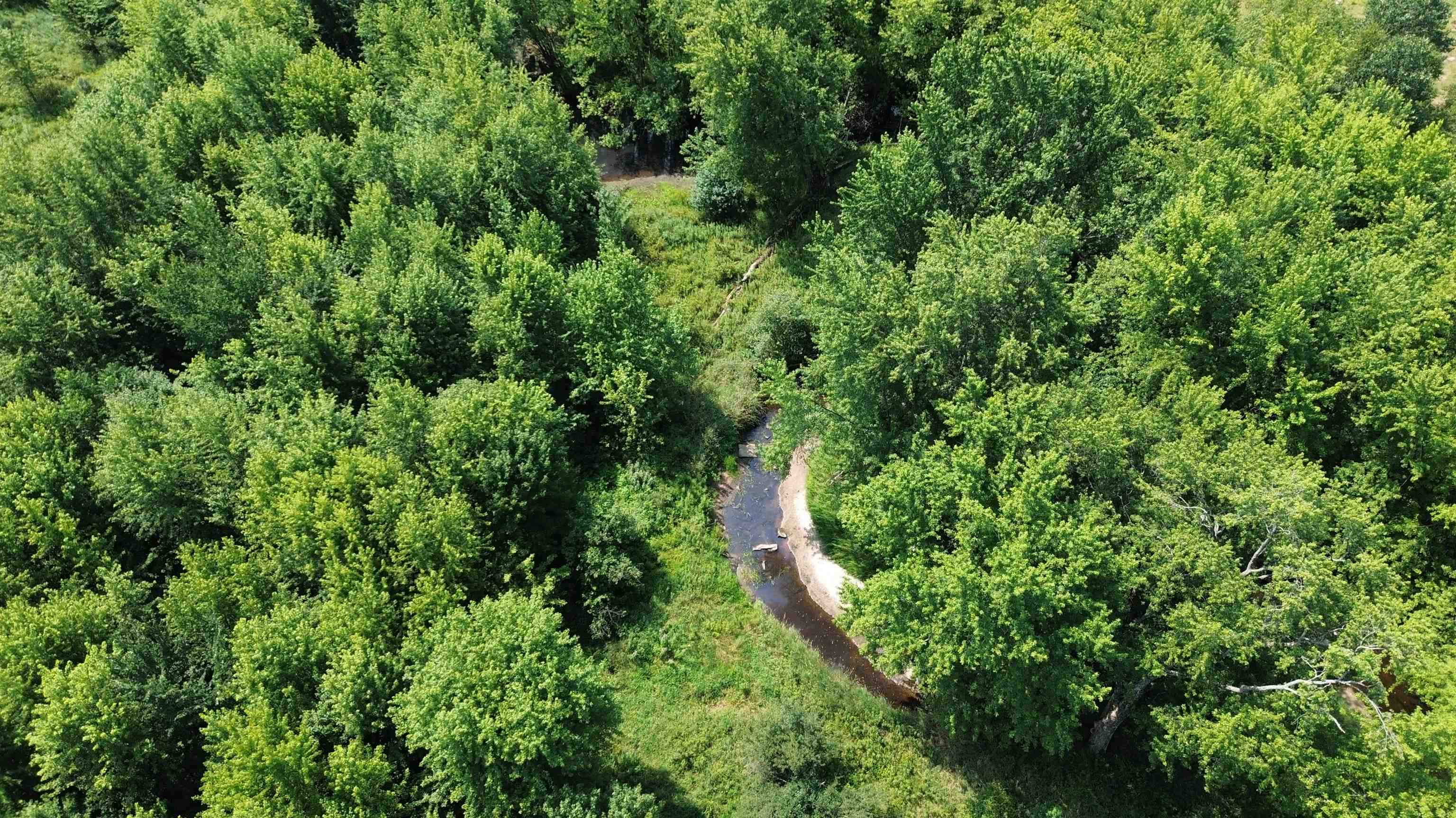 159504 COUNTY ROAD C, Mosinee, Wisconsin 54455, ,Land,For Sale,159504 COUNTY ROAD C,22603880
