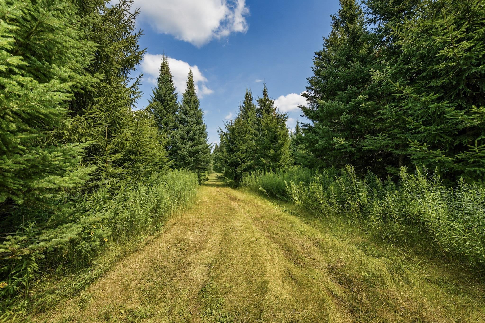 00 STATE HIGHWAY 17, Merrill, Wisconsin 54452, ,Land,For Sale,00 STATE HIGHWAY 17,22603895