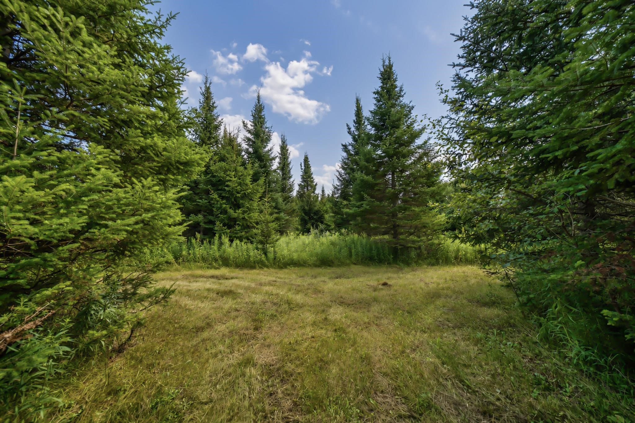 00 STATE HIGHWAY 17, Merrill, Wisconsin 54452, ,Land,For Sale,00 STATE HIGHWAY 17,22603895