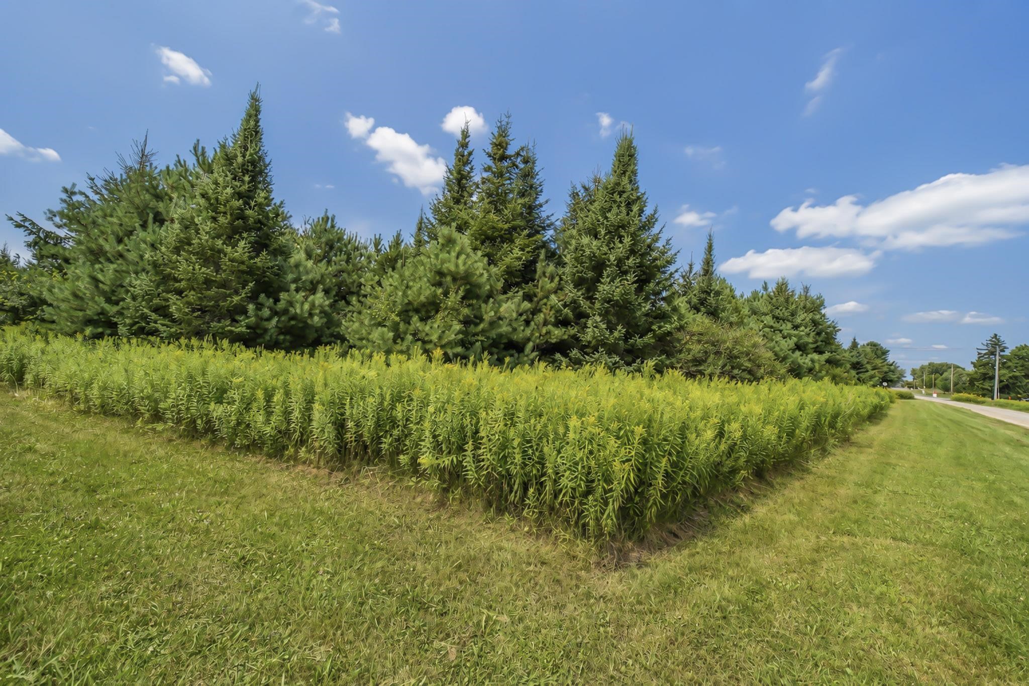 00 STATE HIGHWAY 17, Merrill, Wisconsin 54452, ,Land,For Sale,00 STATE HIGHWAY 17,22603895