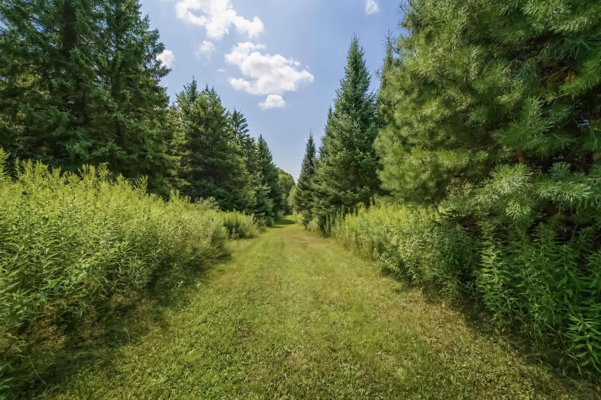 00 STATE HIGHWAY 17, Merrill, Wisconsin 54452, ,Land,For Sale,00 STATE HIGHWAY 17,22603895