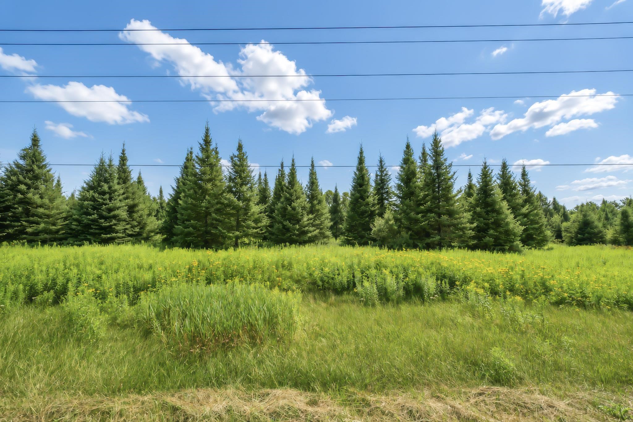 00 STATE HIGHWAY 17, Merrill, Wisconsin 54452, ,Land,For Sale,00 STATE HIGHWAY 17,22603895