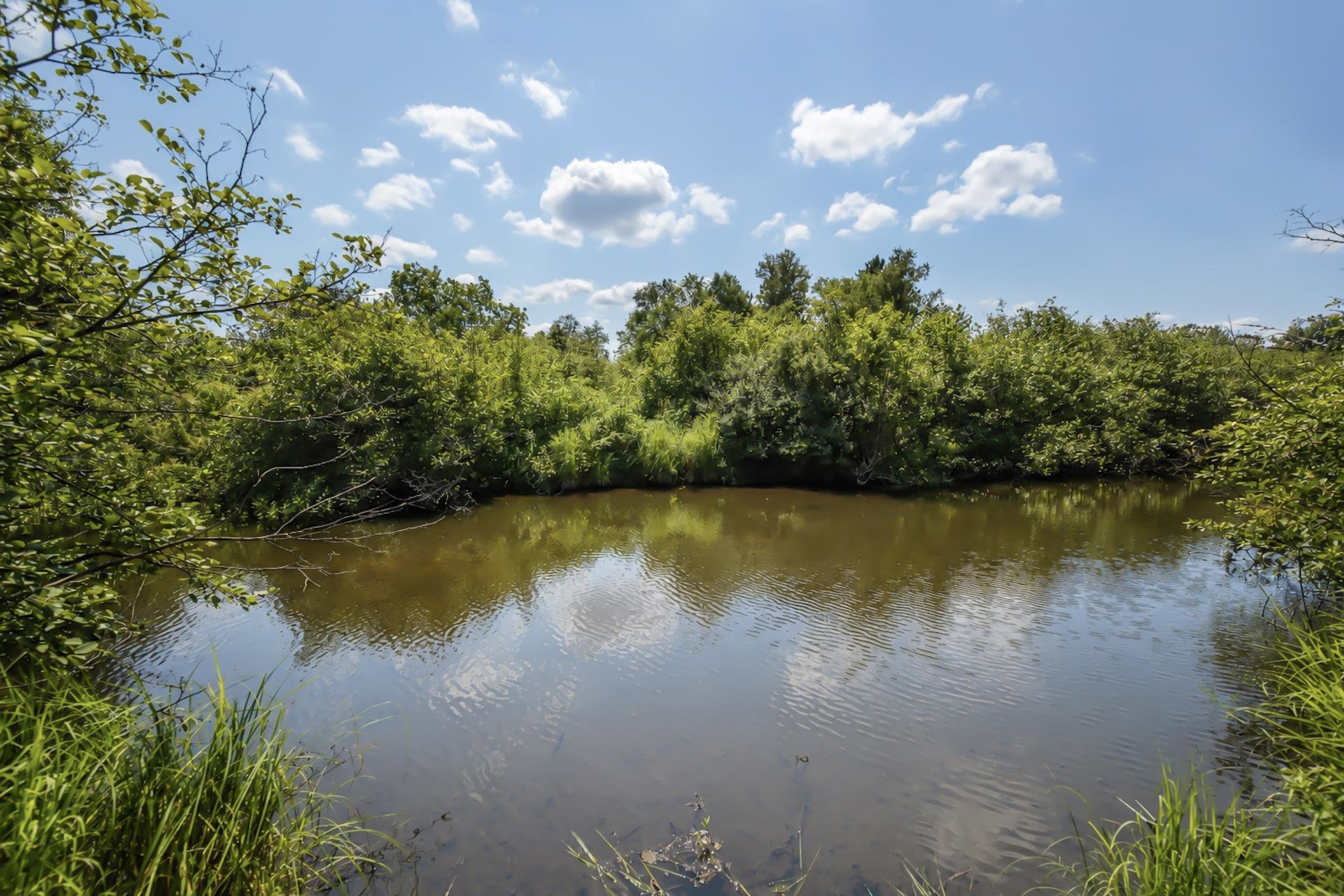 00 STATE HIGHWAY 17, Merrill, Wisconsin 54452, ,Land,For Sale,00 STATE HIGHWAY 17,22603895