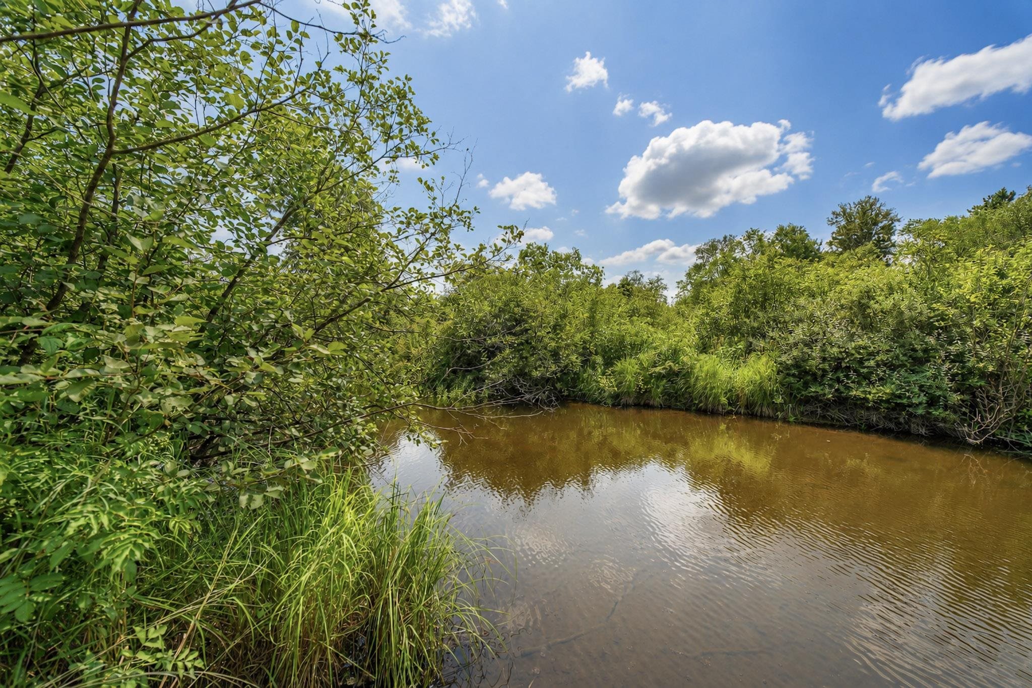 00 STATE HIGHWAY 17, Merrill, Wisconsin 54452, ,Land,For Sale,00 STATE HIGHWAY 17,22603895