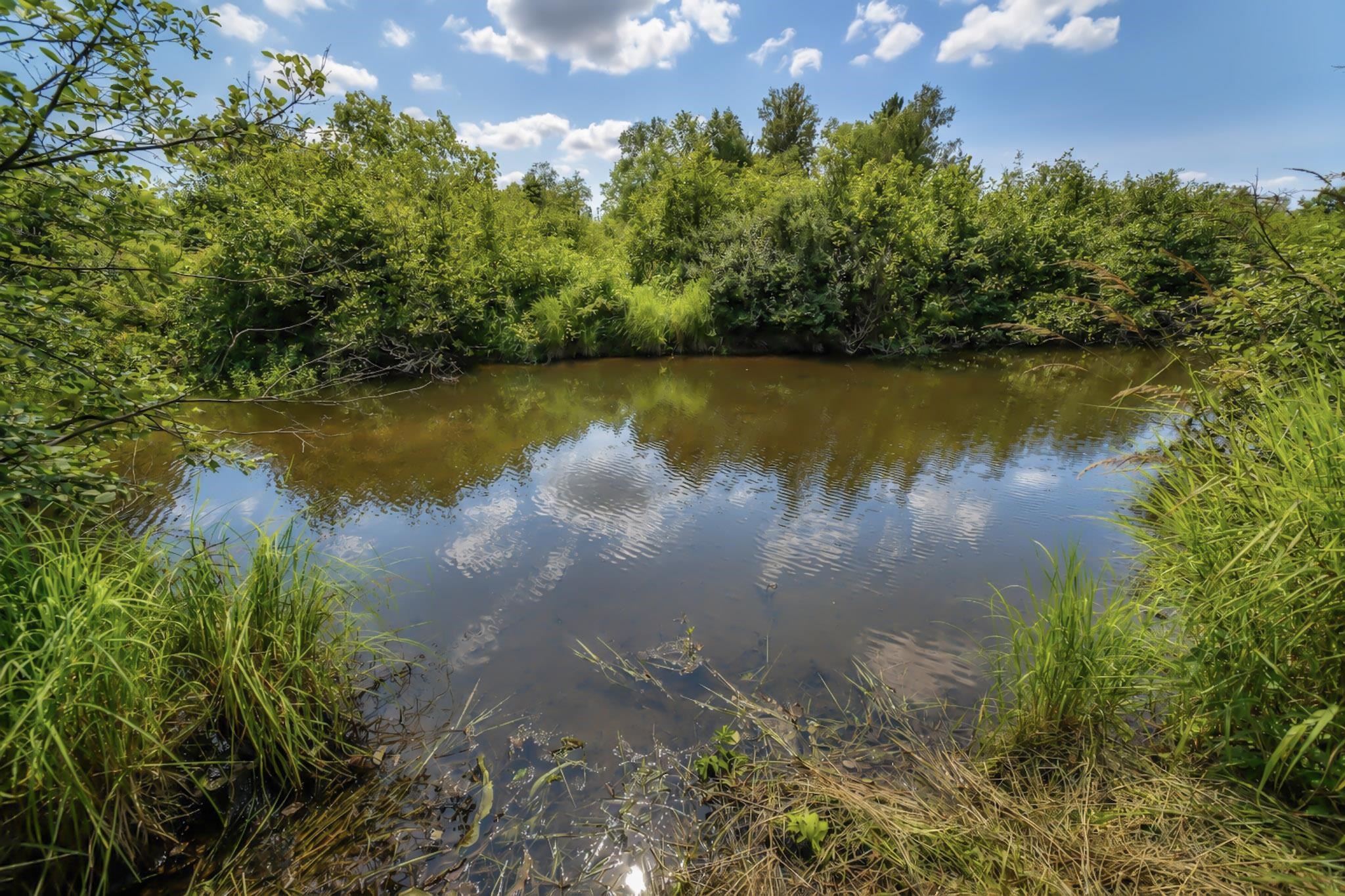 00 STATE HIGHWAY 17, Merrill, Wisconsin 54452, ,Land,For Sale,00 STATE HIGHWAY 17,22603895