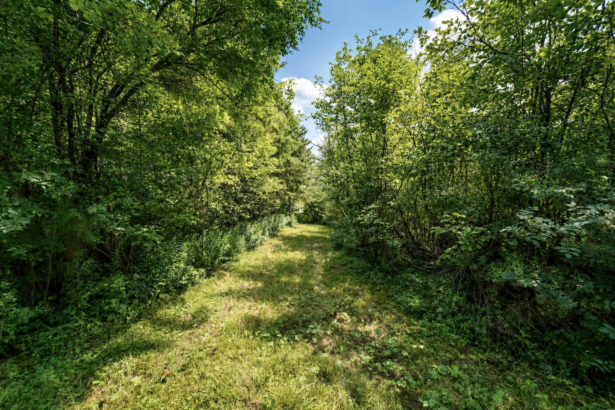 00 STATE HIGHWAY 17, Merrill, Wisconsin 54452, ,Land,For Sale,00 STATE HIGHWAY 17,22603895