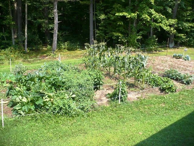 N11453 WILDERNESS AVENUE, Thorp, Wisconsin 54771, 4 Bedrooms Bedrooms, ,2 BathroomsBathrooms,Residential,For Sale,N11453 WILDERNESS AVENUE,22603904