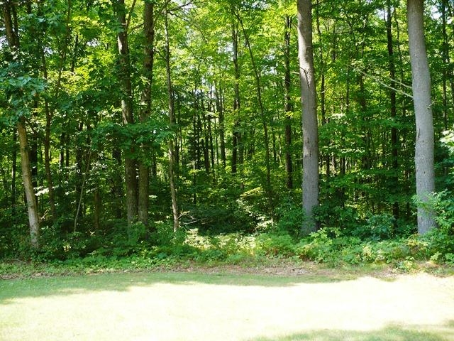 N11453 WILDERNESS AVENUE, Thorp, Wisconsin 54771, 4 Bedrooms Bedrooms, ,2 BathroomsBathrooms,Residential,For Sale,N11453 WILDERNESS AVENUE,22603904