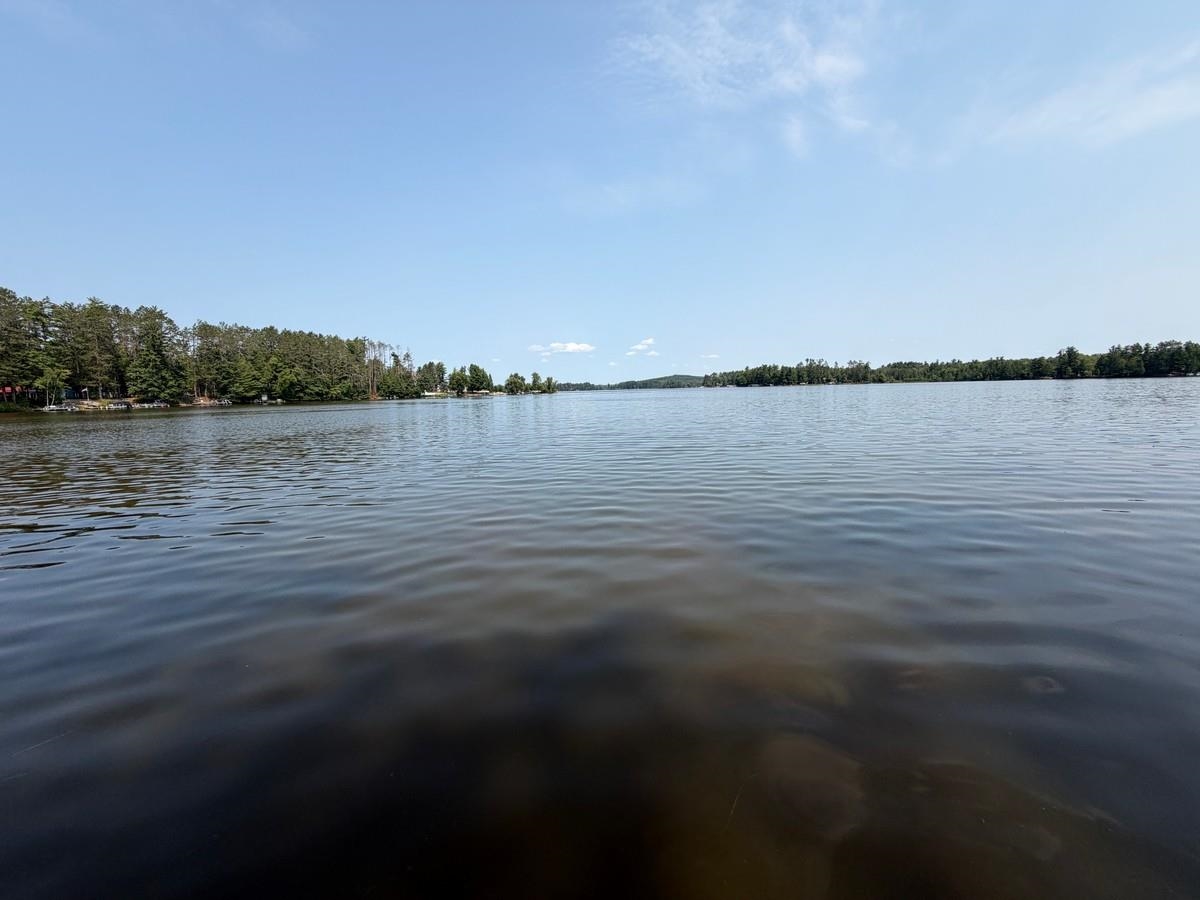 N11767 WEST SHORE DRIVE, Elcho, Wisconsin 54428, 2 Bedrooms Bedrooms, ,1 BathroomBathrooms,Residential,For Sale,N11767 WEST SHORE DRIVE,22603908