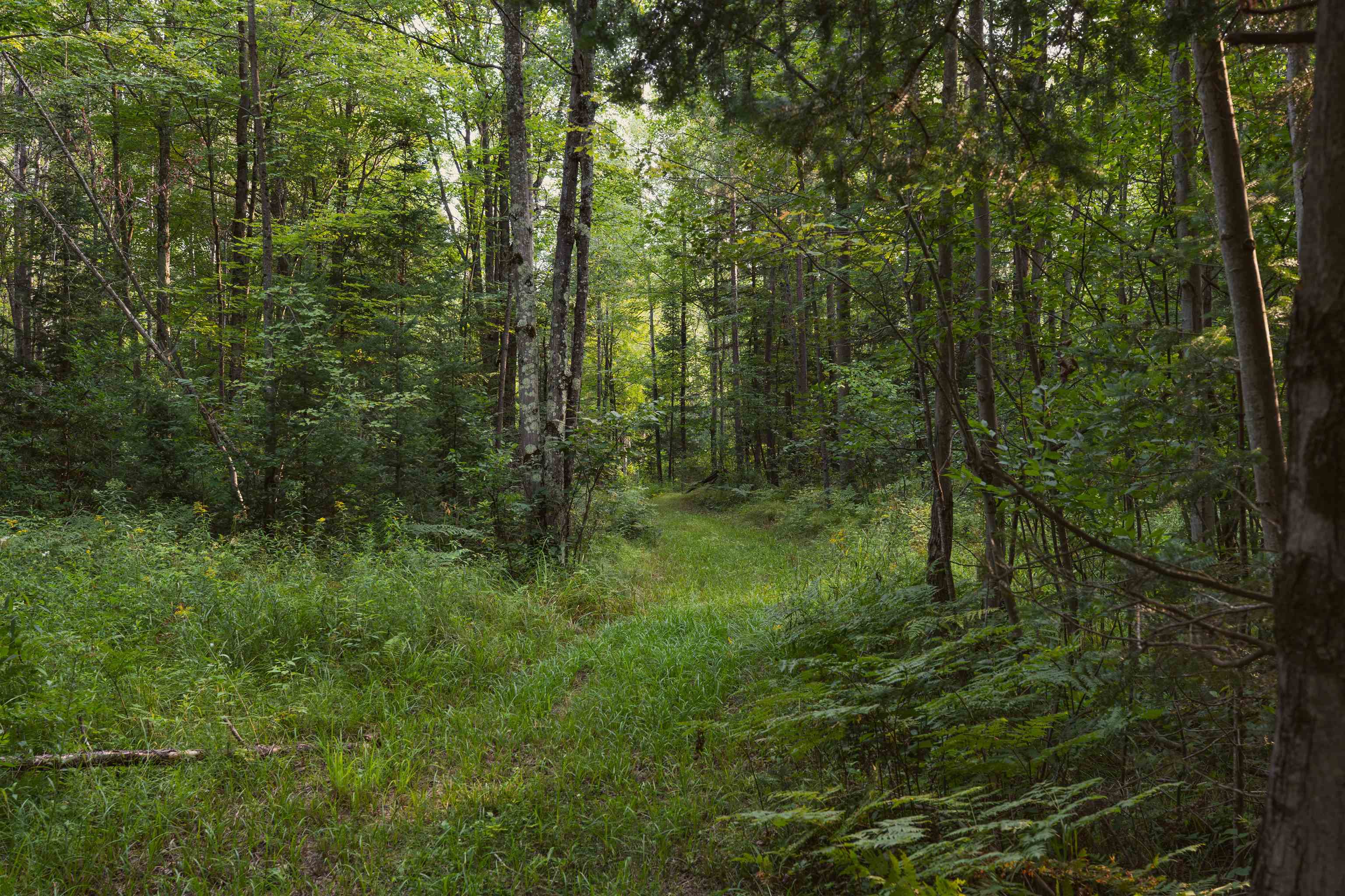 W8605 CRANBERRY TRAIL, Merrill, Wisconsin 54452, ,Land,For Sale,W8605 CRANBERRY TRAIL,22603909