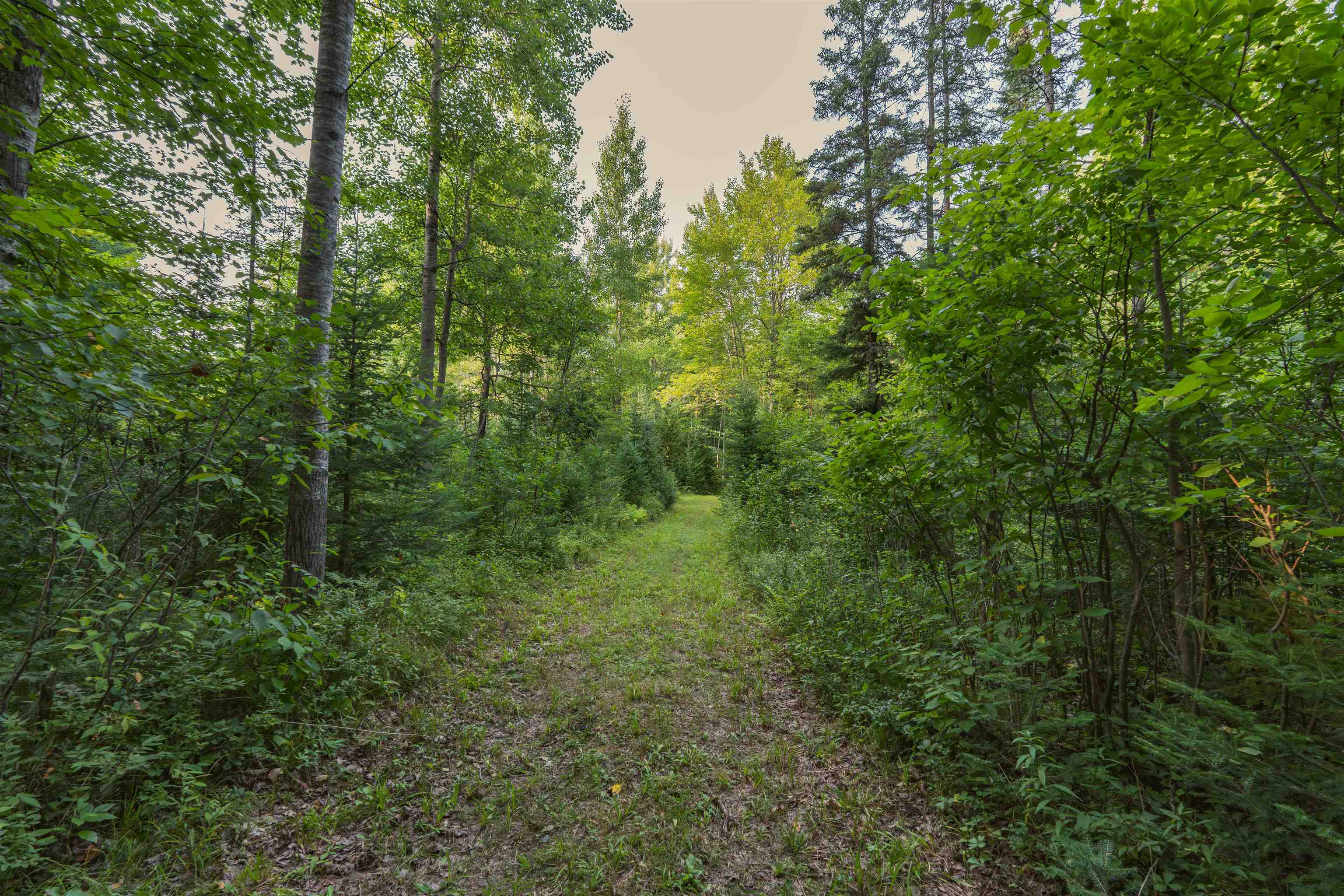 W8605 CRANBERRY TRAIL, Merrill, Wisconsin 54452, ,Land,For Sale,W8605 CRANBERRY TRAIL,22603909