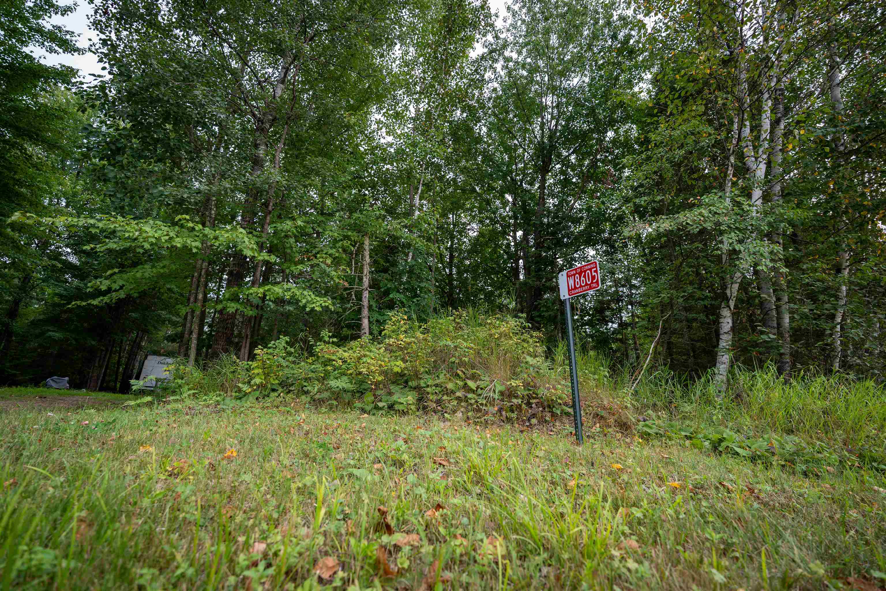 W8605 CRANBERRY TRAIL, Merrill, Wisconsin 54452, ,Land,For Sale,W8605 CRANBERRY TRAIL,22603909
