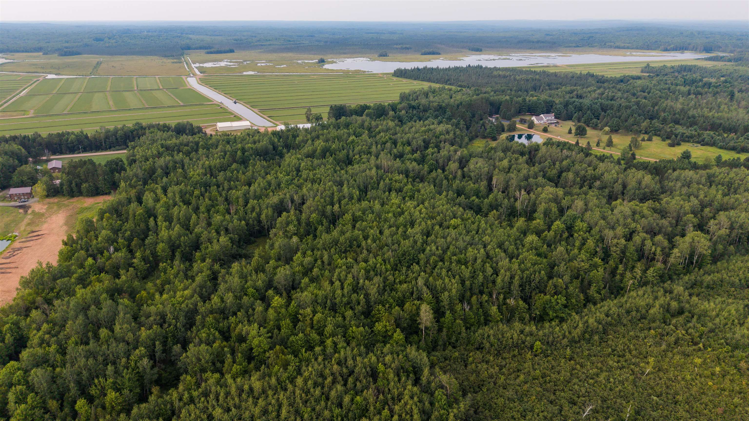 W8605 CRANBERRY TRAIL, Merrill, Wisconsin 54452, ,Land,For Sale,W8605 CRANBERRY TRAIL,22603909
