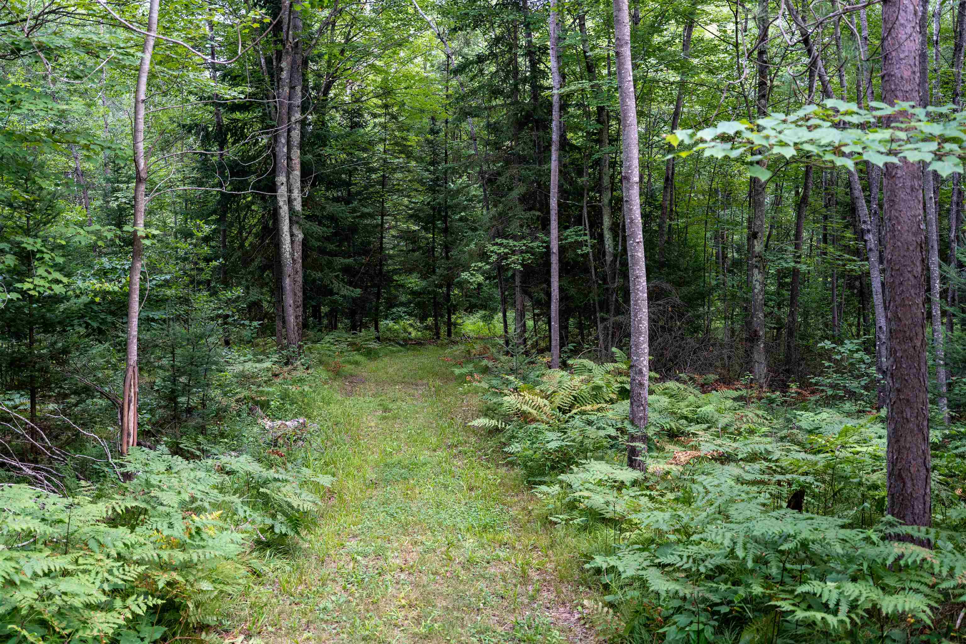 W8605 CRANBERRY TRAIL, Merrill, Wisconsin 54452, ,Land,For Sale,W8605 CRANBERRY TRAIL,22603909